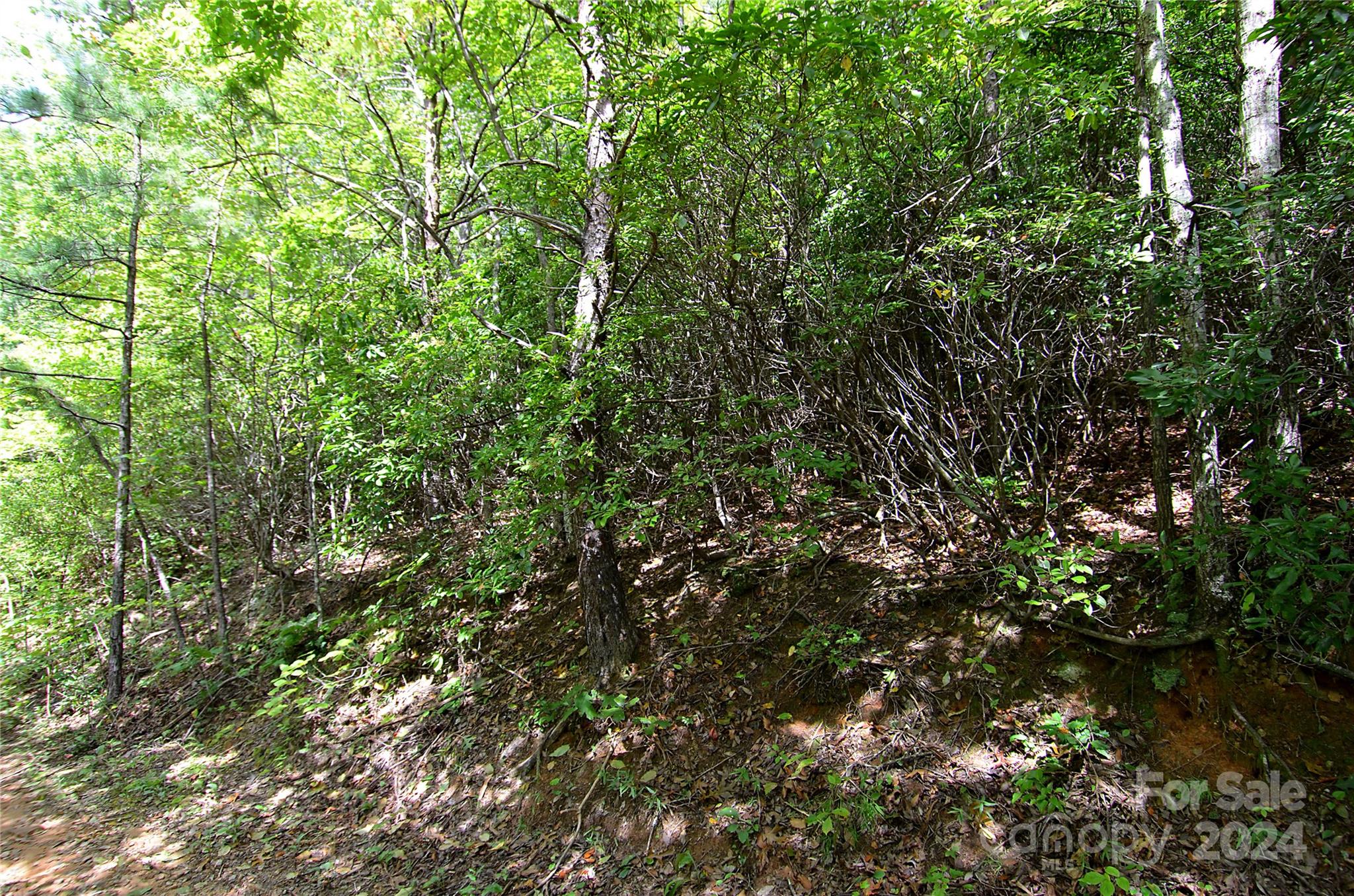0 Jarrell Loop