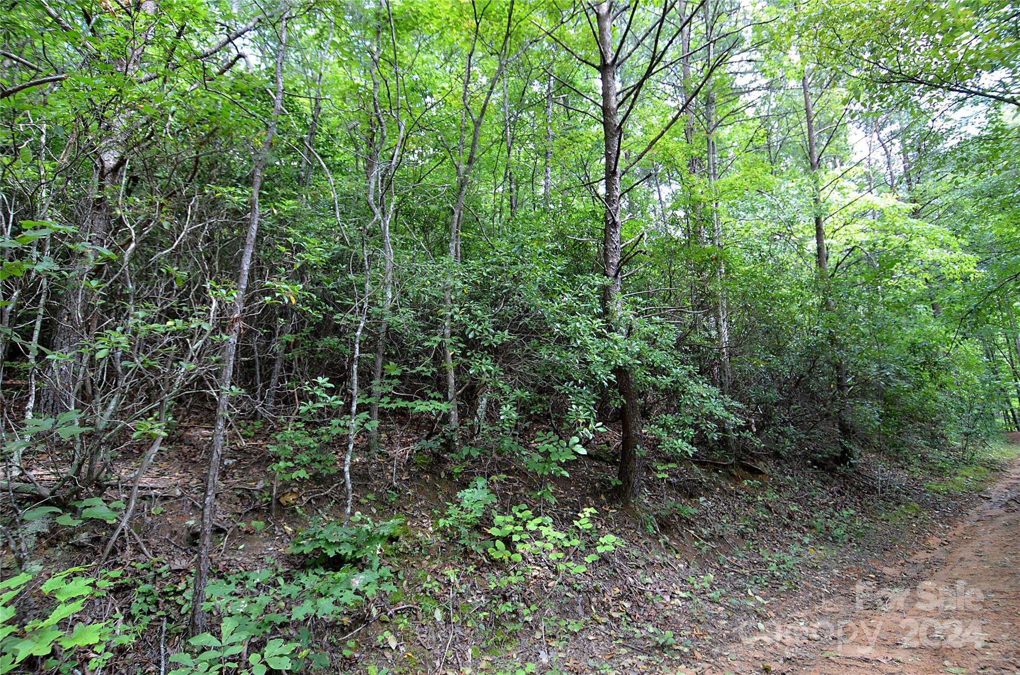 0 Jarrell Loop