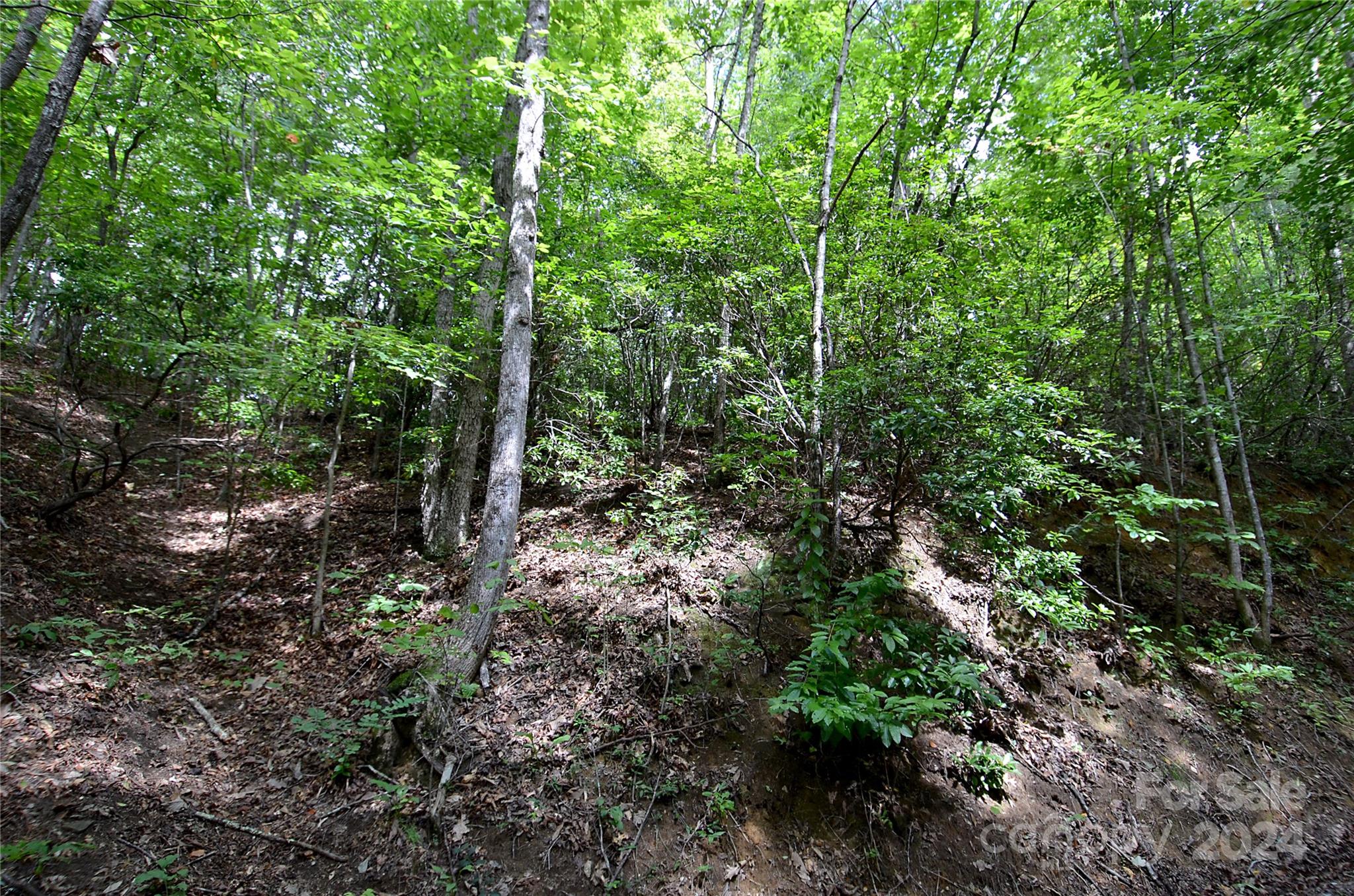 0 Jarrell Loop