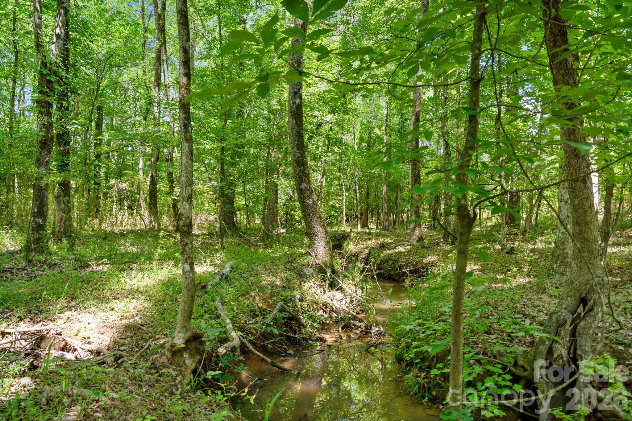 0000 Cool Branch Road 5