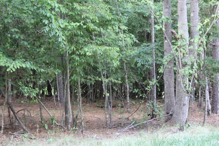 Lake Rhodhiss Estates - Land