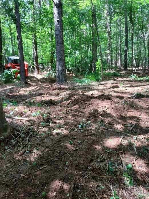 Lake Rhodhiss Estates - Land