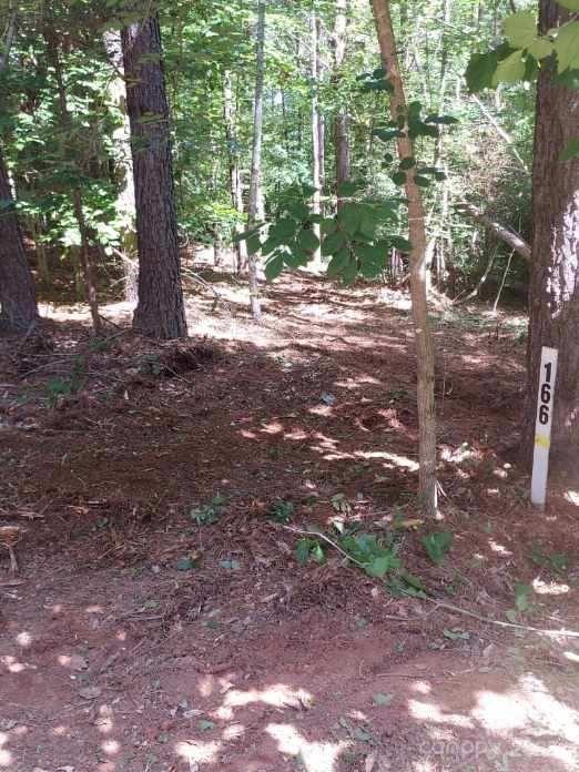 218 Table Rock Trace NW 166