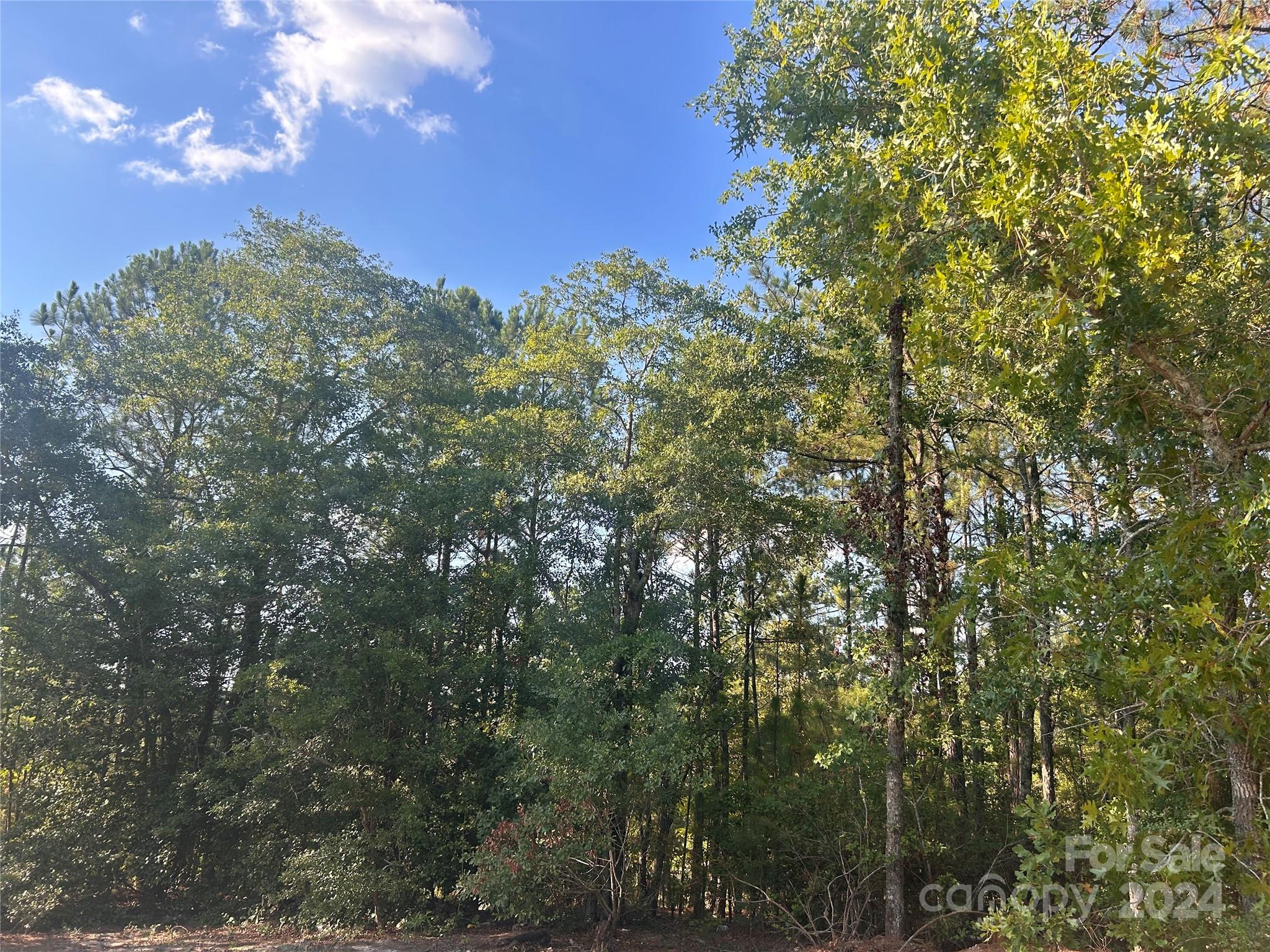 Ashley Place - Residential