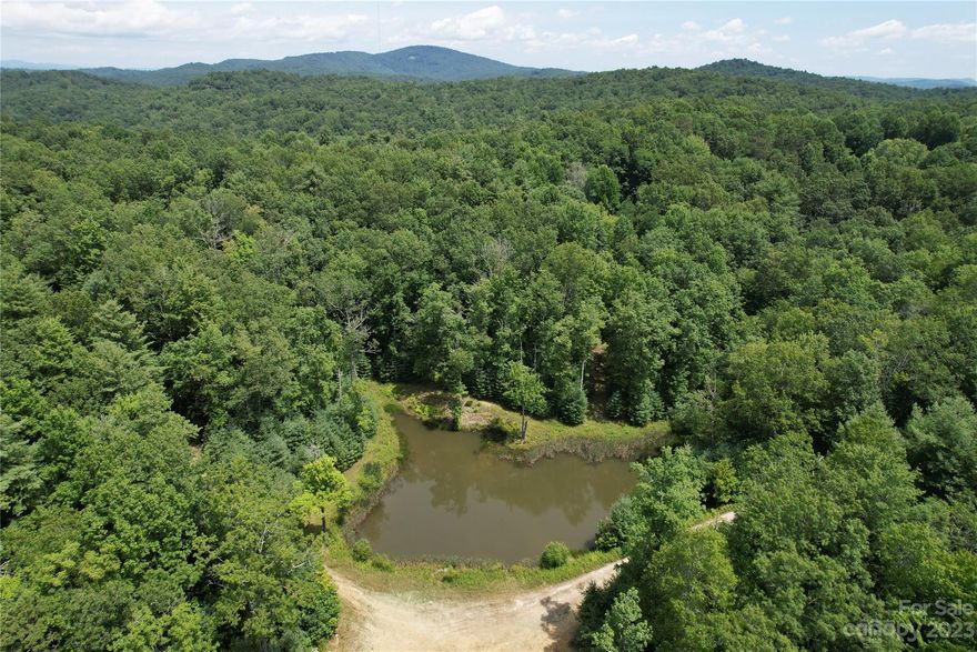 13+ acres of unrestricted land close to Brevard, Cedar Mountain, the fly fishing waters of the East Fork River and Dupont State Park. This land is gently sloping with multiple water sources on it. The topography of this property would allow for multiple homes with easy build sites nestled in between the forest. It would also be the perfect spot for a quiet family compound with your own fishing pond. I hear the catfishing is good! This is two parcels being sold together. There is access through the Blyth Woods Subdivision on Caitlyn Raney Way, Hondah rd and East Fork rd.
