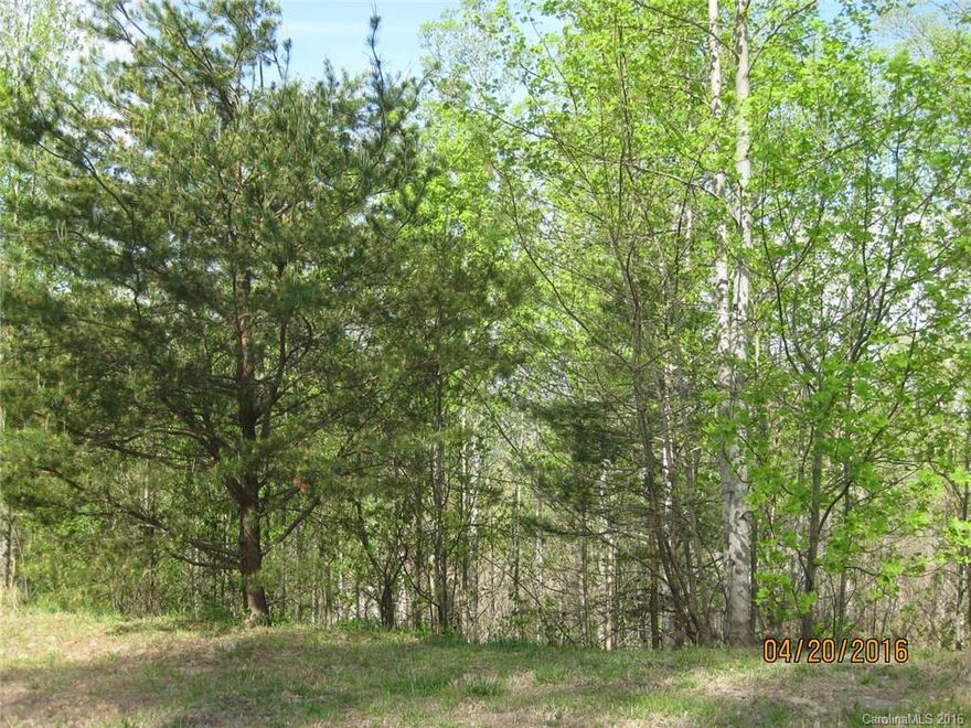 One of the few lots left in the village of Carriage Summit as the rest is built out. Great lot with a possible walk out lower level and potentially great view. Lends itself to easy maintenance and has level entryway. Located in  beautiful Carriage Prk with its clubhouse, indoor pool, tennis courts, lake, ponds, and walking path. Take part in the many amenities and a very full social calendar.