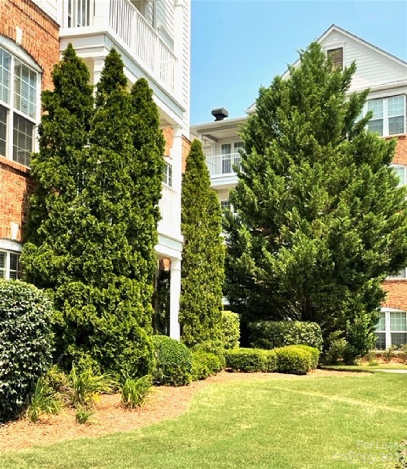 Belle Vista - Residential Lease