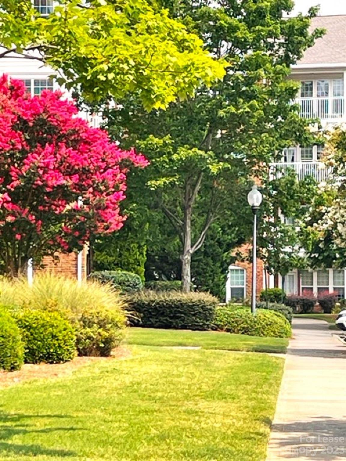 Belle Vista - Residential Lease