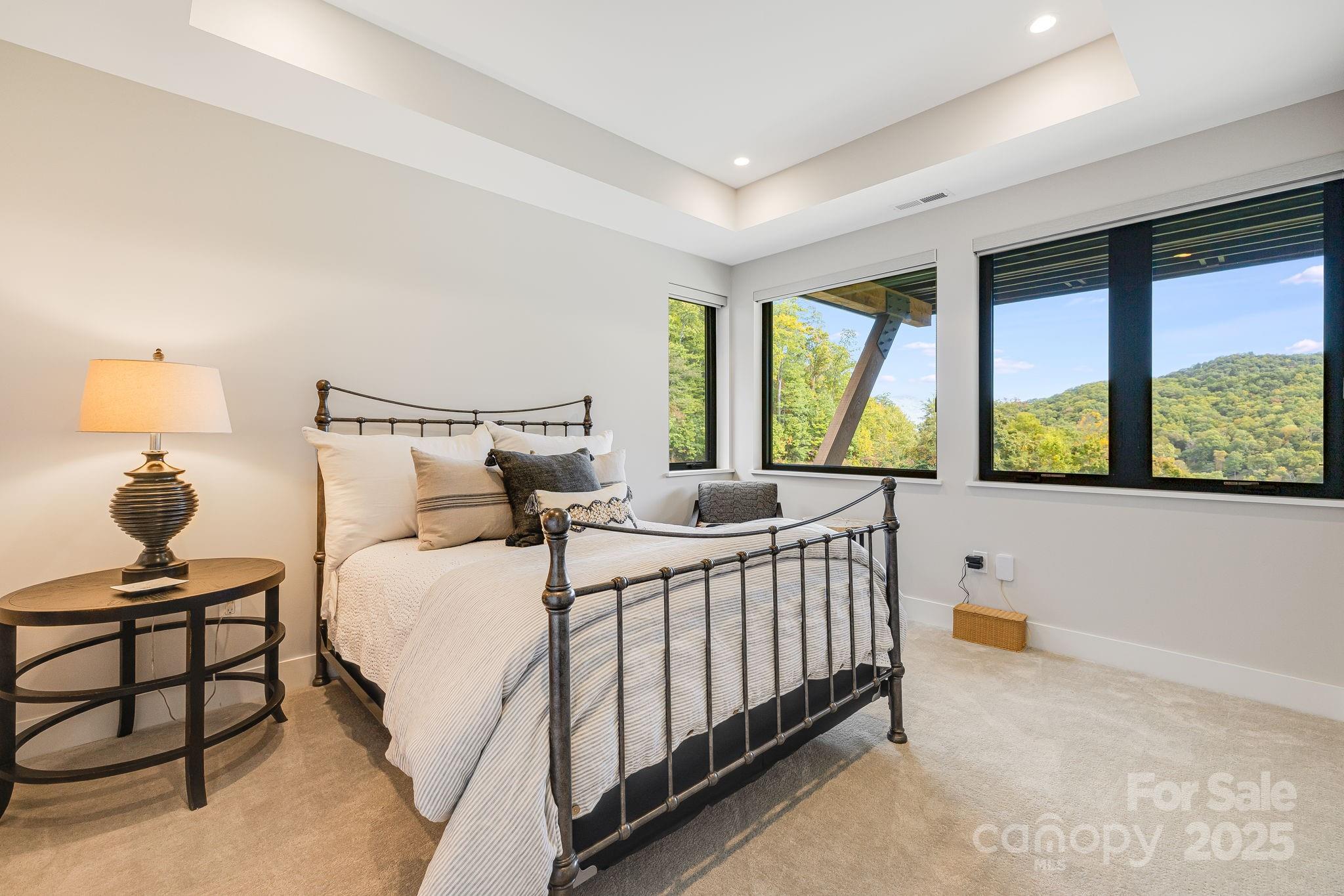 Balsam Mountain Preserve - Residential