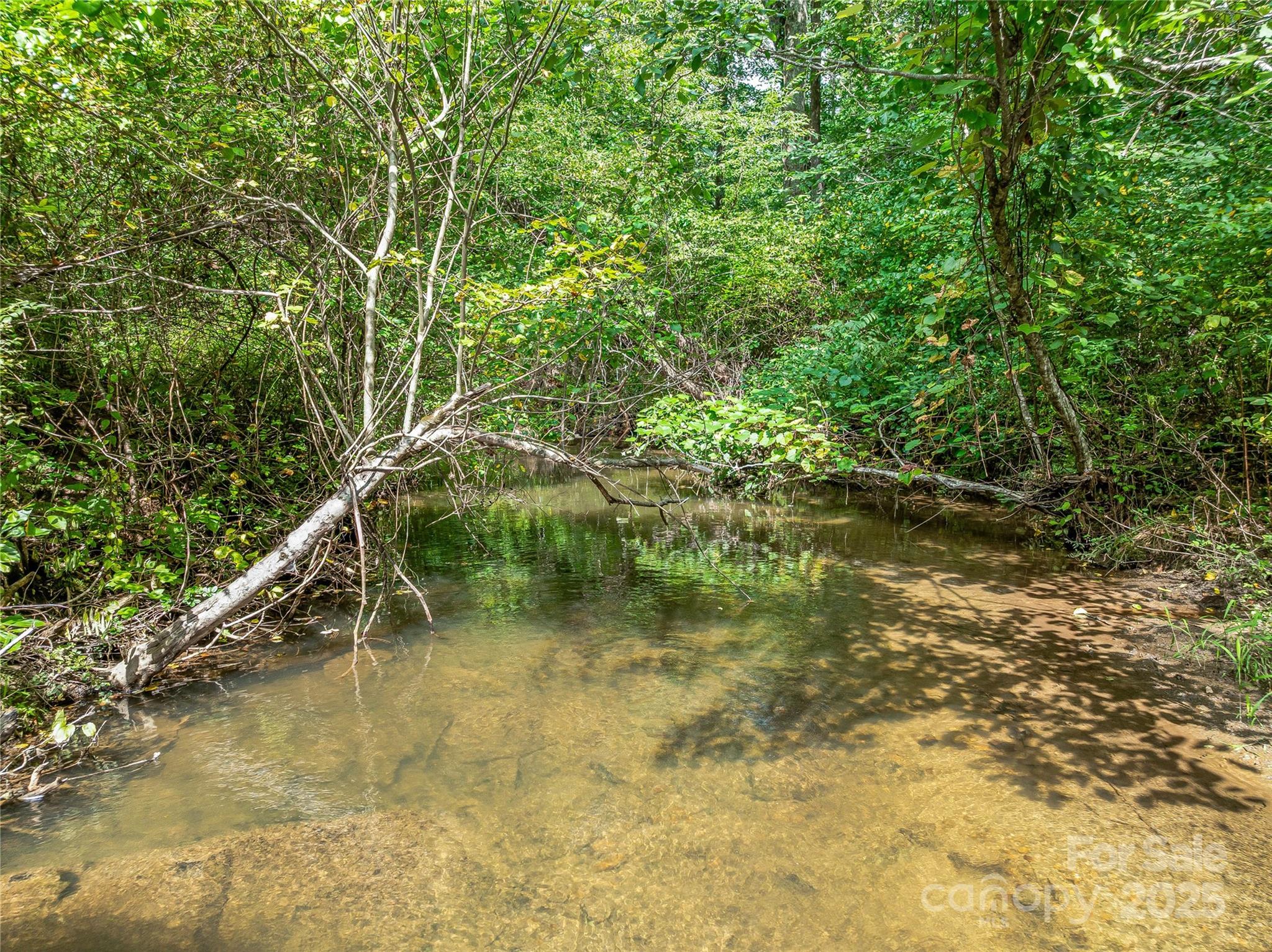The Cliffs At Walnut Cove - Residential