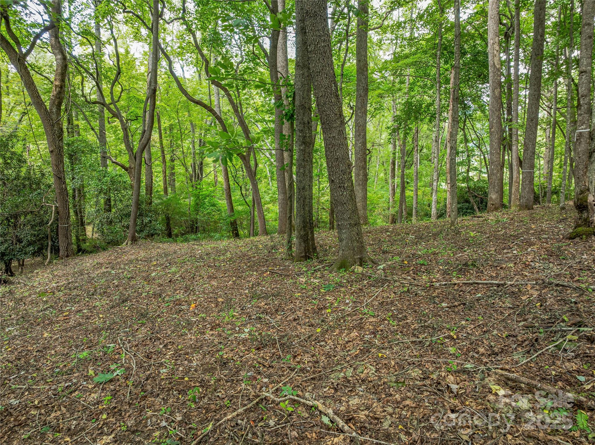 The Cliffs At Walnut Cove - Residential