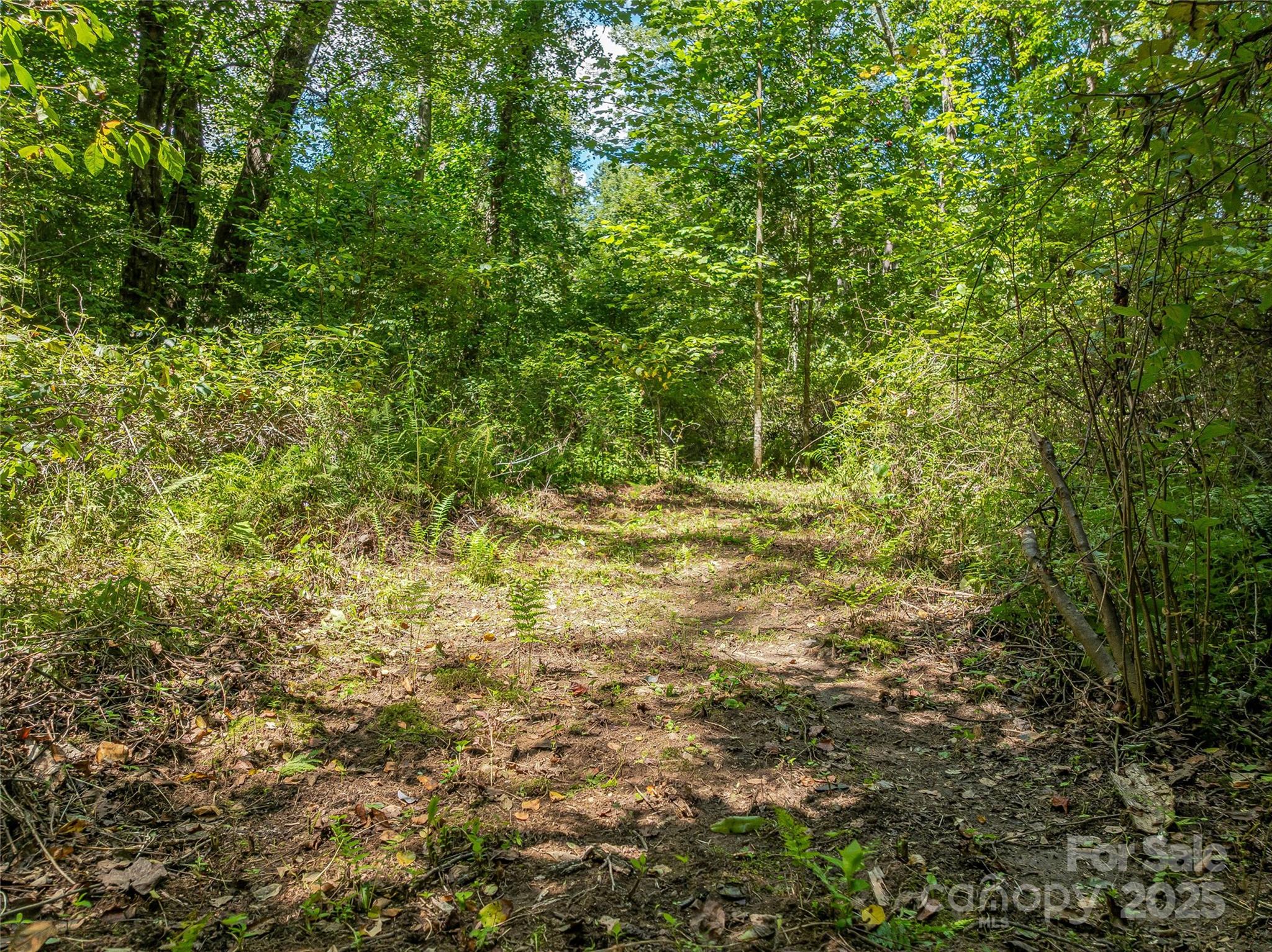 The Cliffs At Walnut Cove - Residential