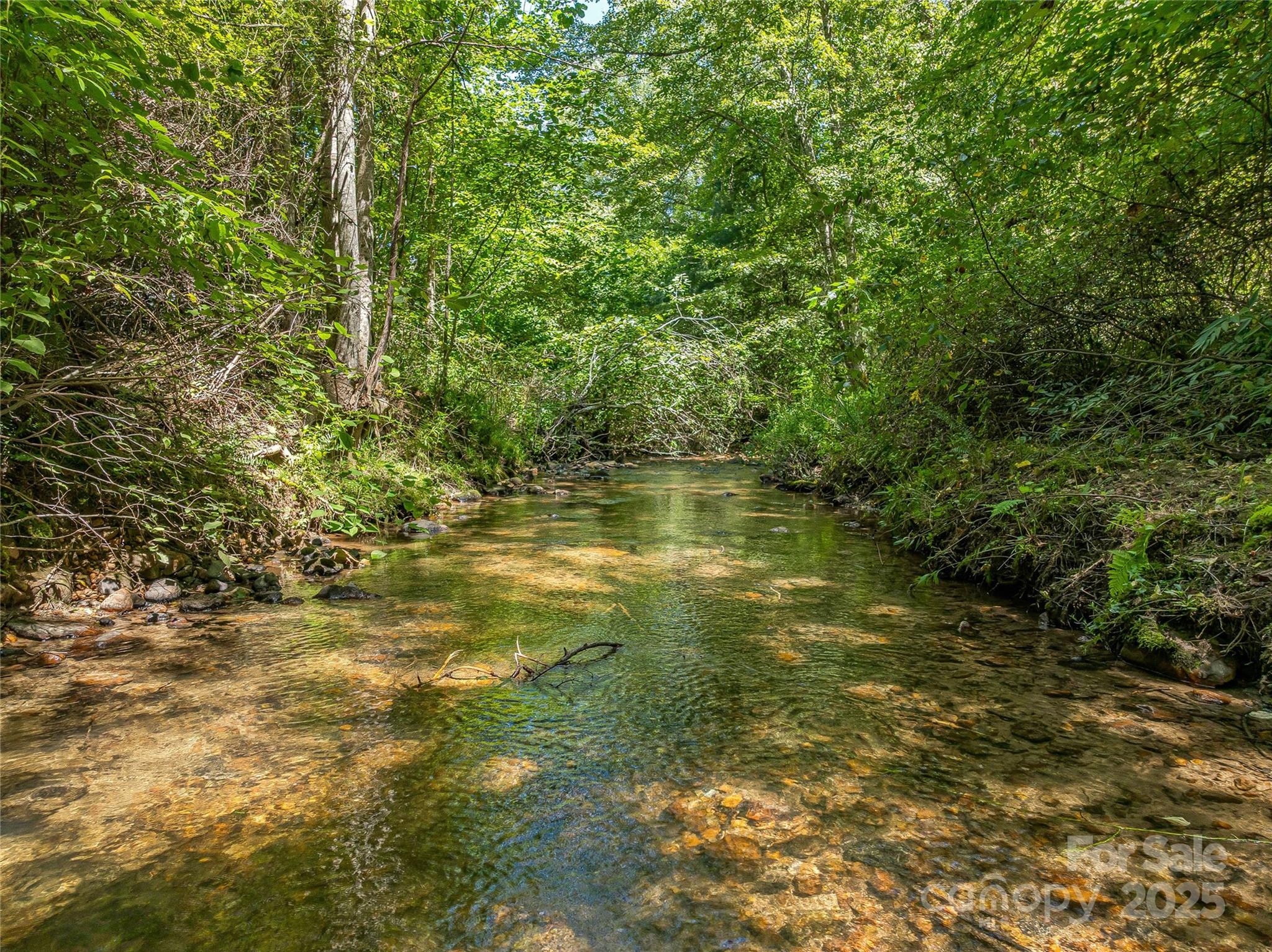 The Cliffs At Walnut Cove - Residential