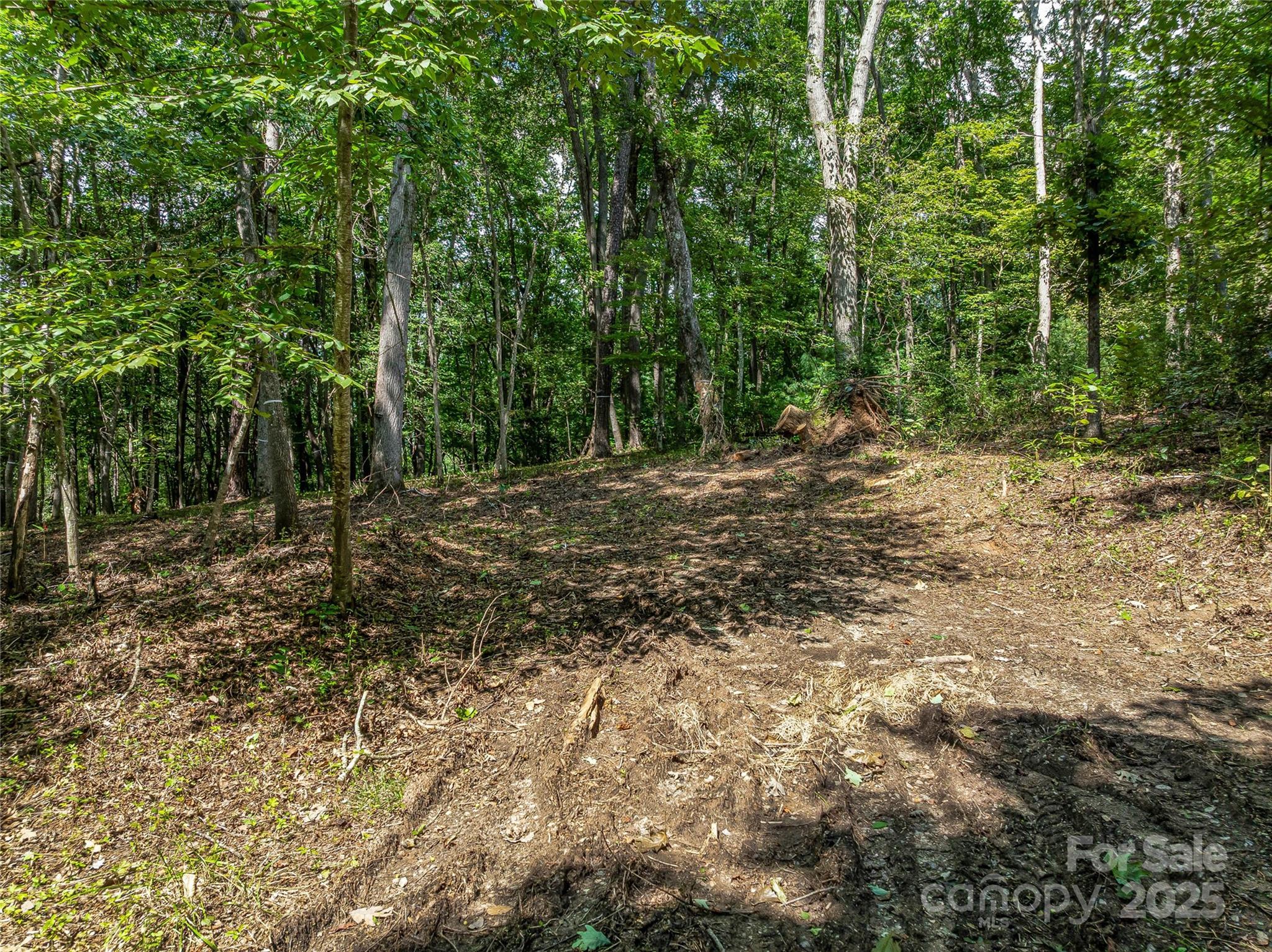 The Cliffs At Walnut Cove - Residential