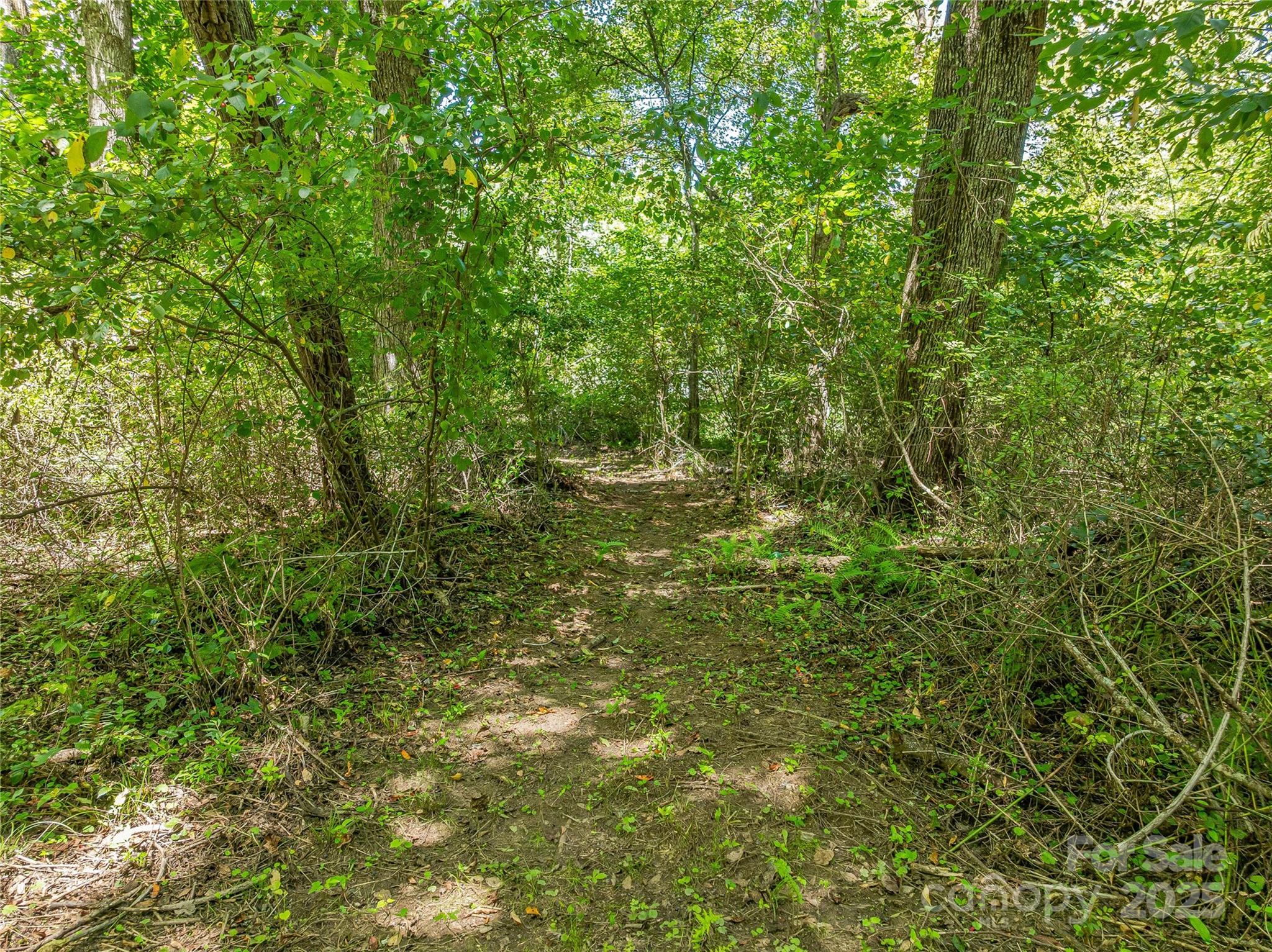 The Cliffs At Walnut Cove - Residential