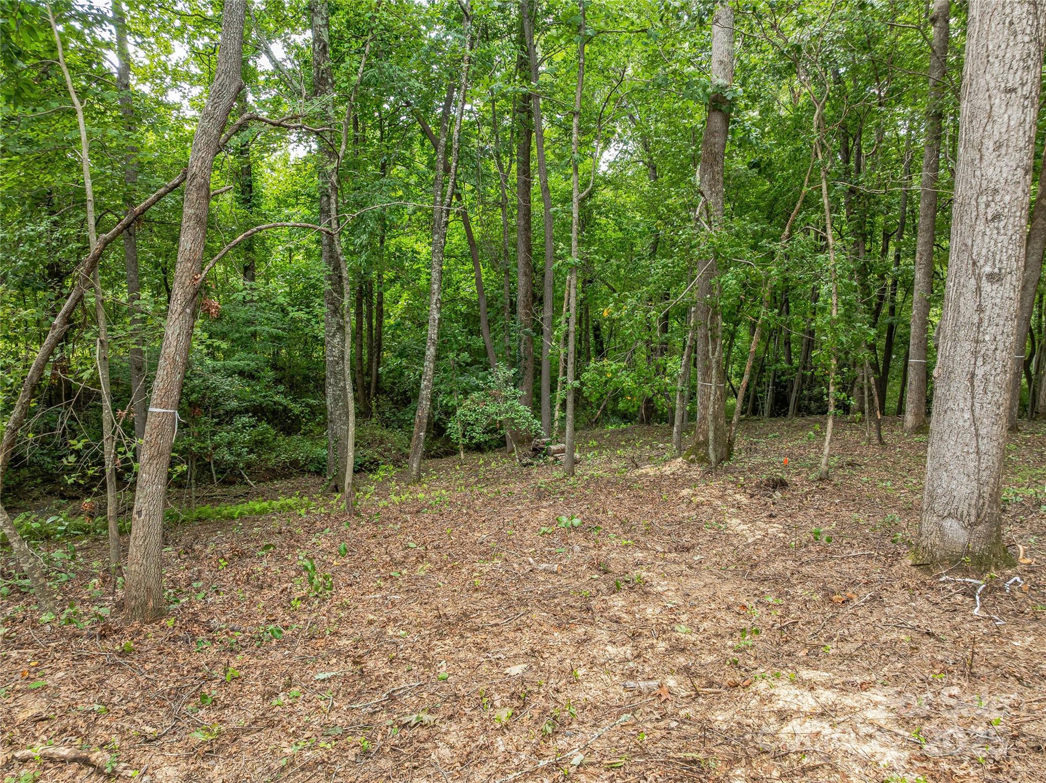 The Cliffs At Walnut Cove - Residential