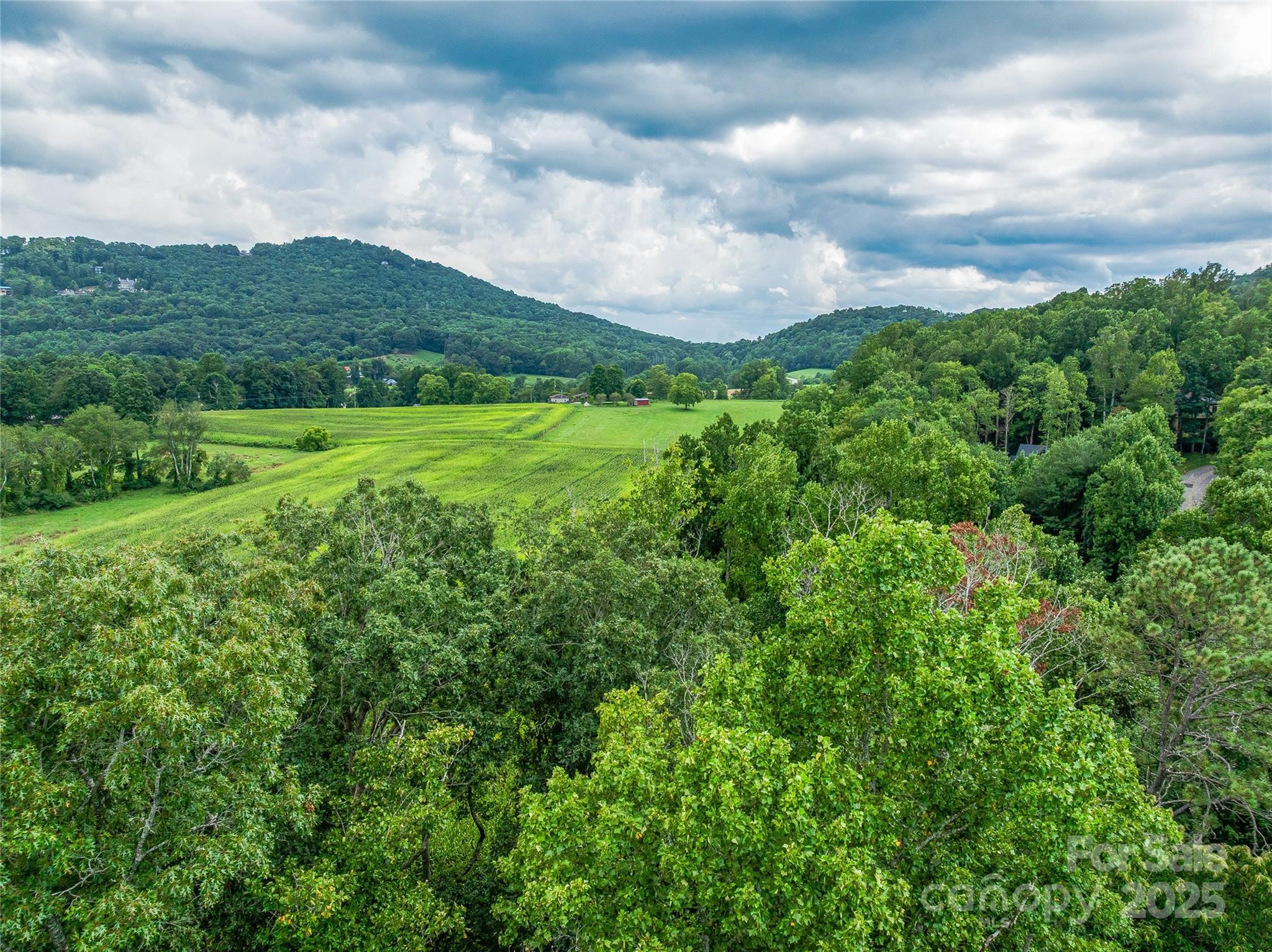 The Cliffs At Walnut Cove - Residential