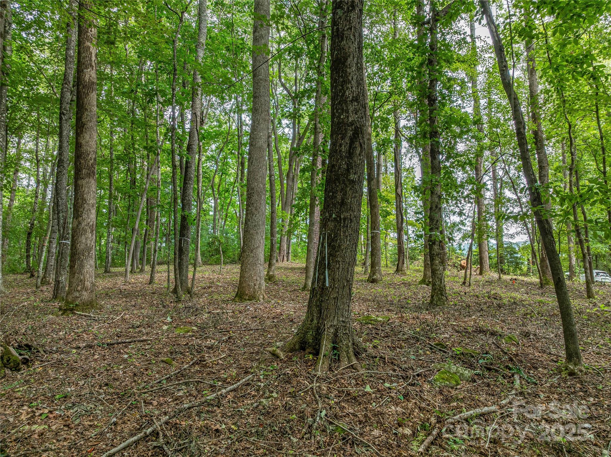 The Cliffs At Walnut Cove - Residential