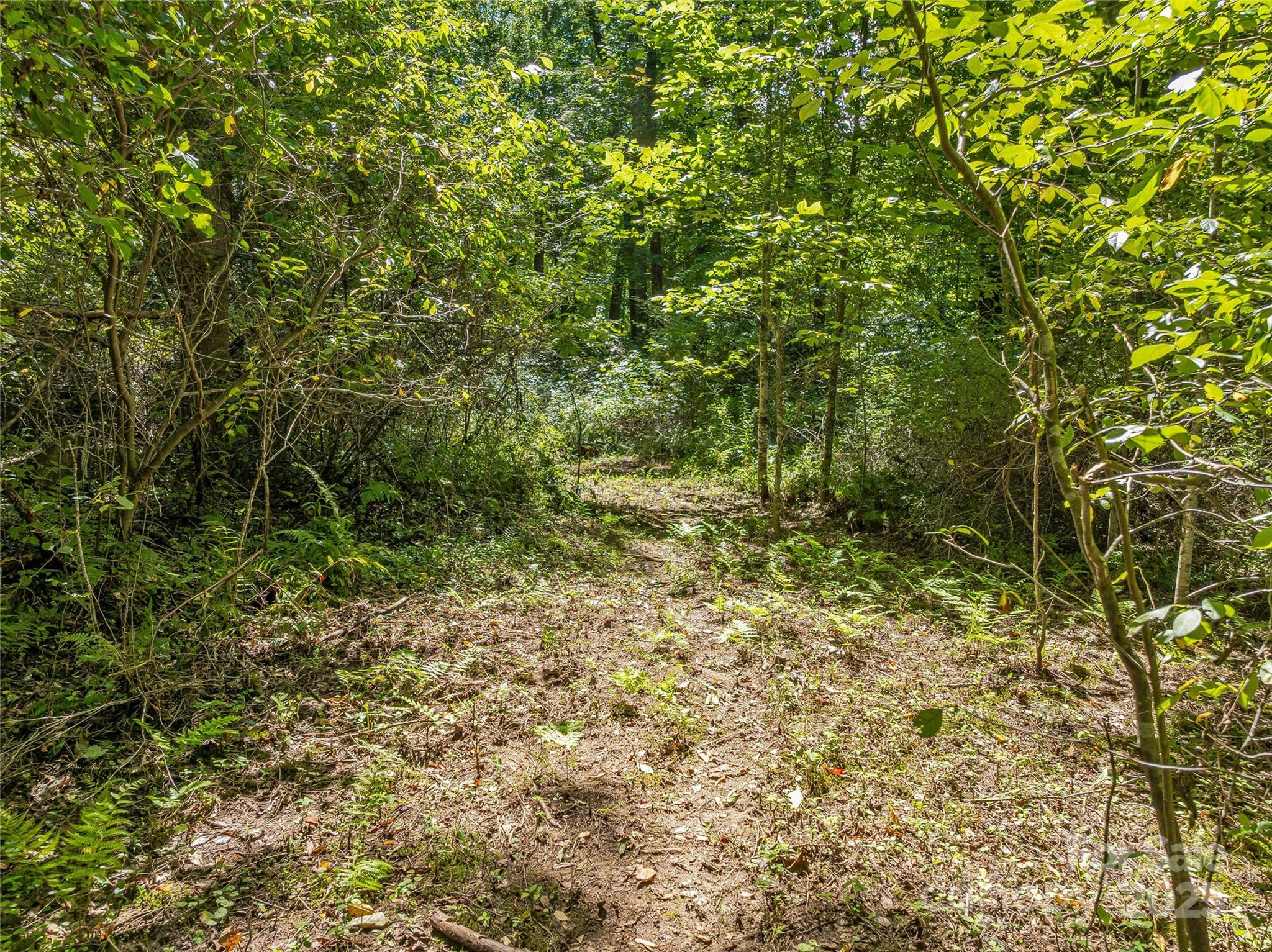 The Cliffs At Walnut Cove - Residential