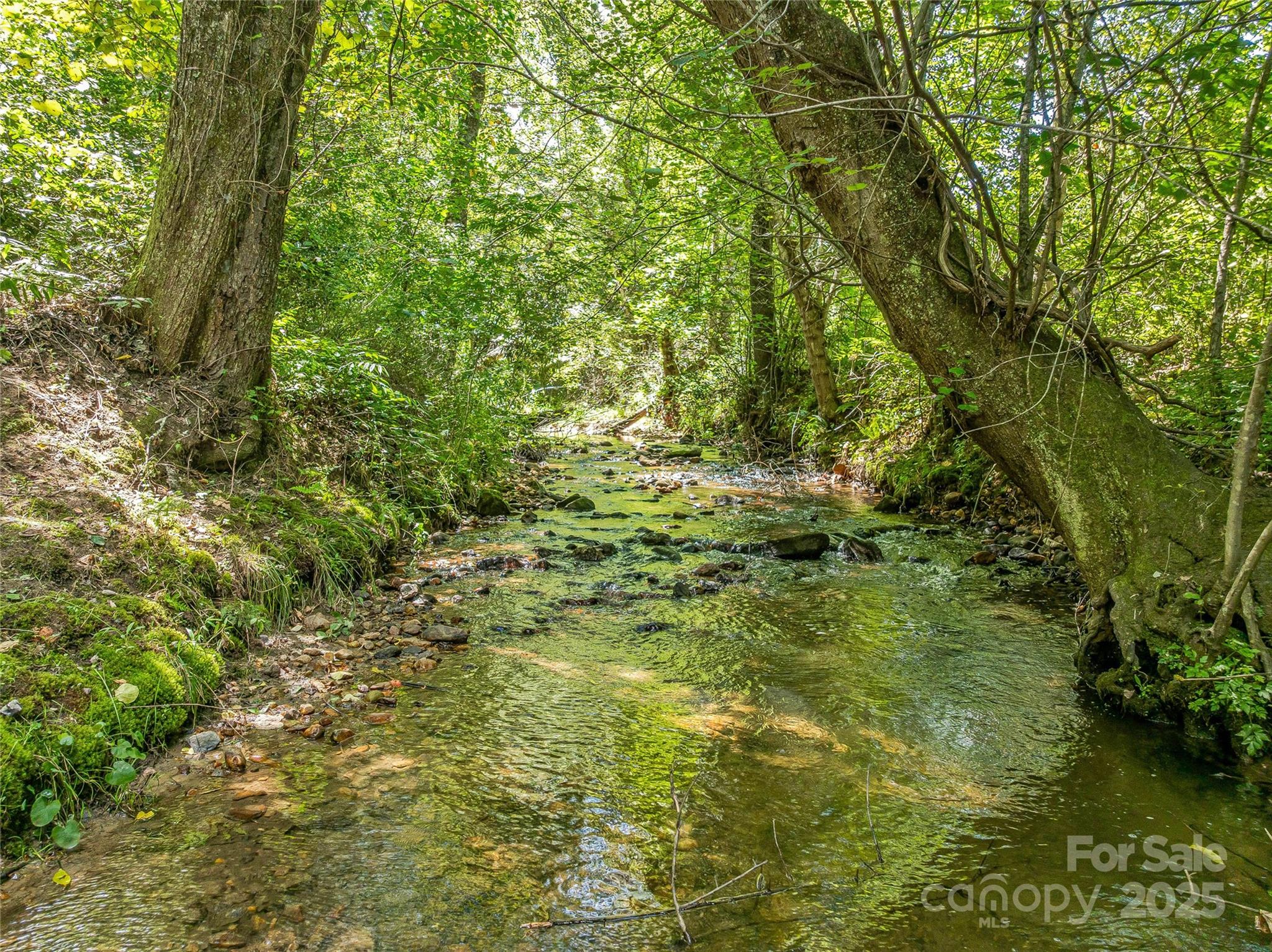 The Cliffs At Walnut Cove - Residential
