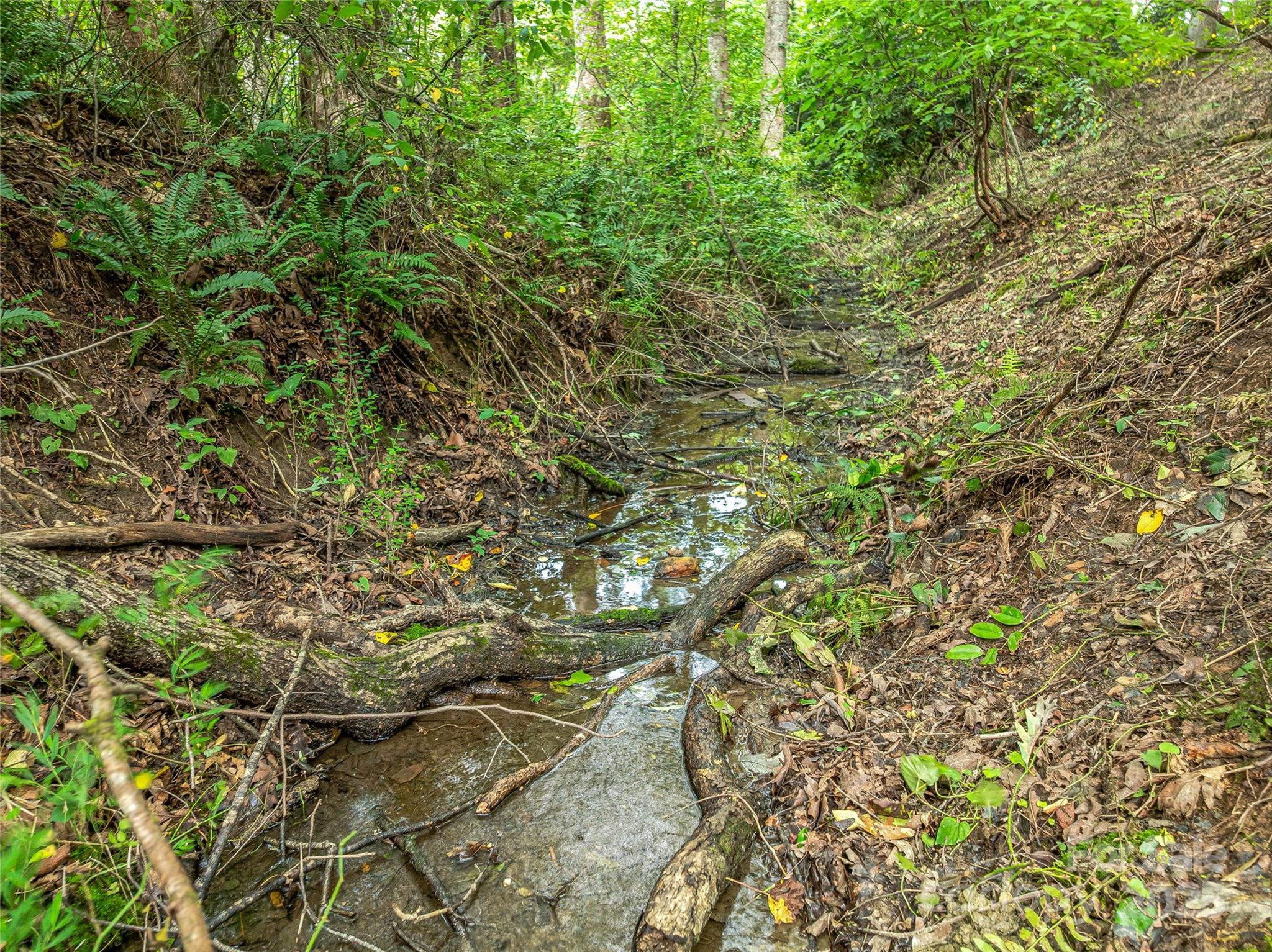 The Cliffs At Walnut Cove - Residential