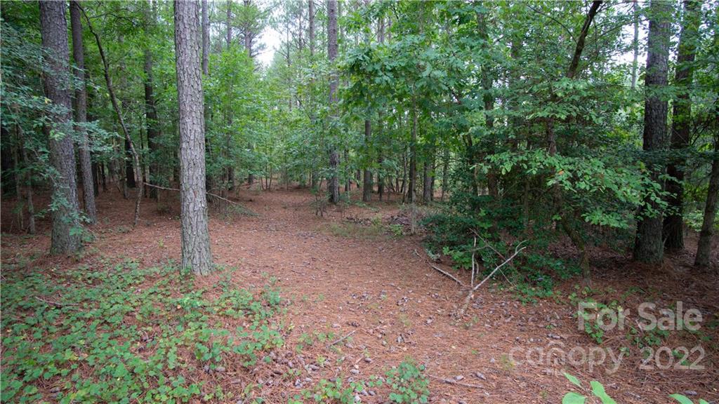 Riverchase Estates - Land