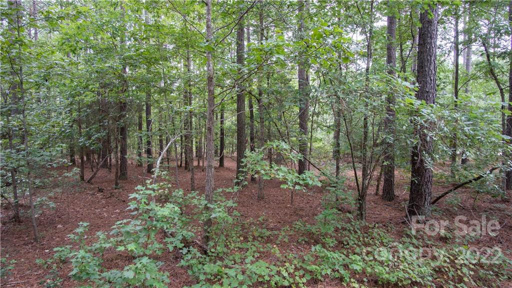 Riverchase Estates - Land