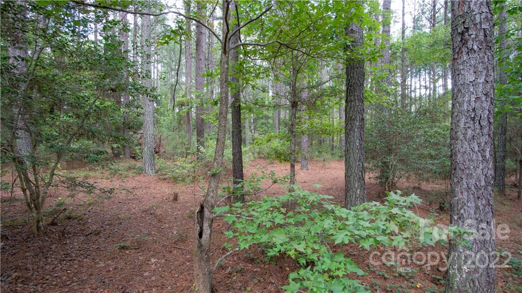 Riverchase Estates - Land