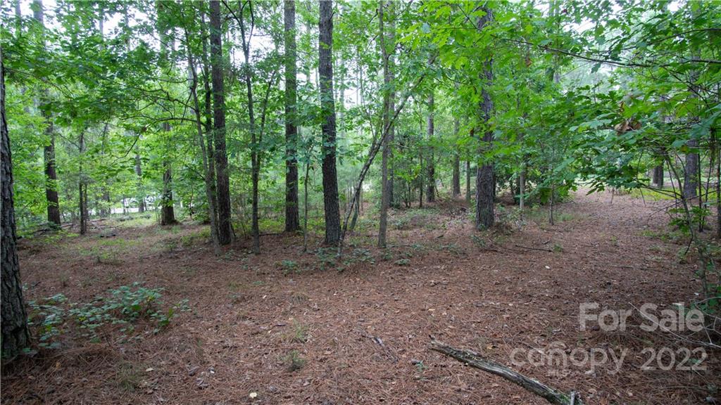 Riverchase Estates - Land