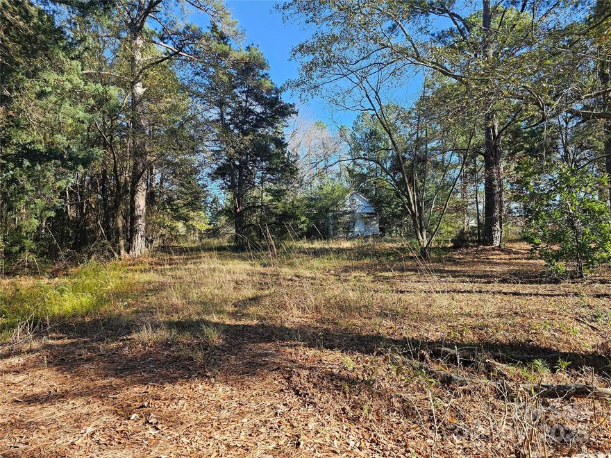 A 20 acre parcel with road frontage on JB Denton Rd.
There's an old home on the property that was connected to county water and there's also an old well
and septic tank on the property. No value is given to the house.
