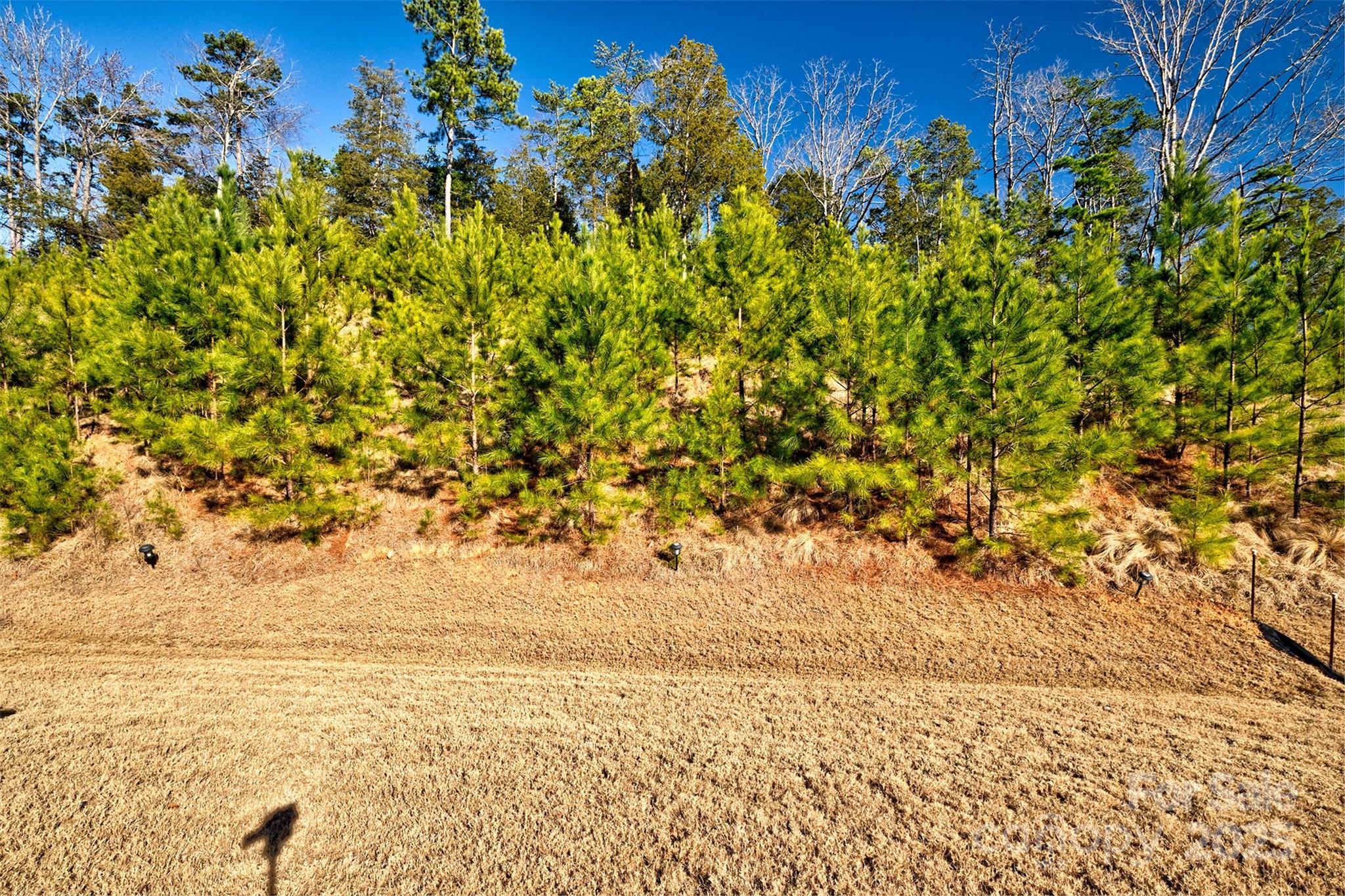 The Palisades - Residential