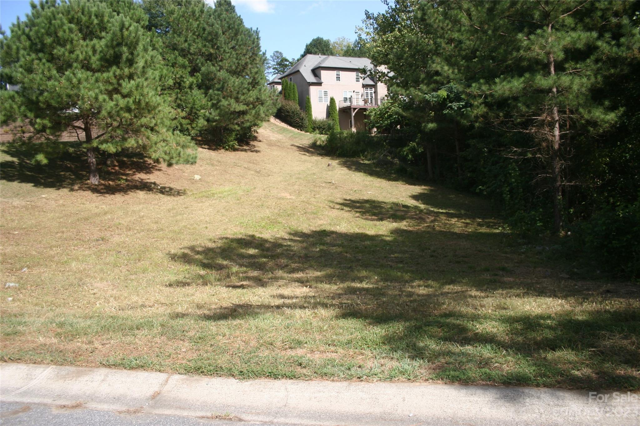 Verdict Ridge - Land