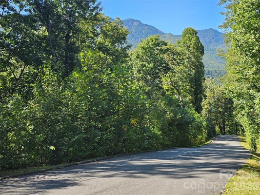109 BIG RIDGE RD, BURNSVILLE, NC 28714 - Image 5db3c42e02afdf4dacfbf99b2aa975c4/1749924670