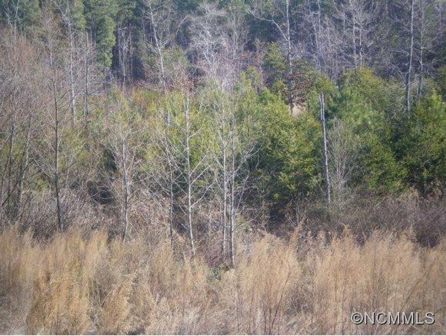 Small pond and nice storage building on 10.65 acres, priced to sell.