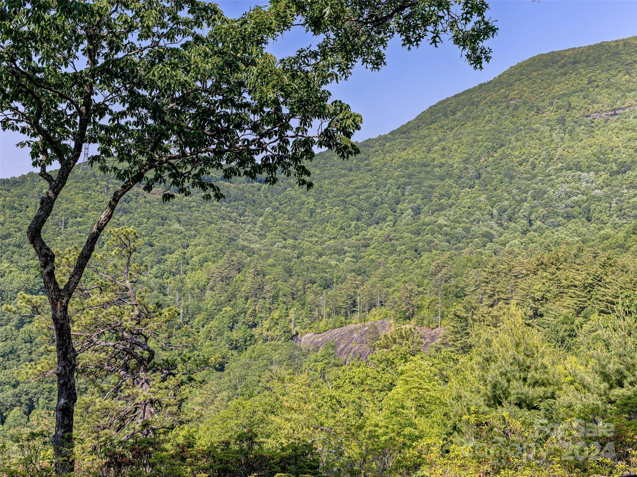 Lake Toxaway Estates - Residential