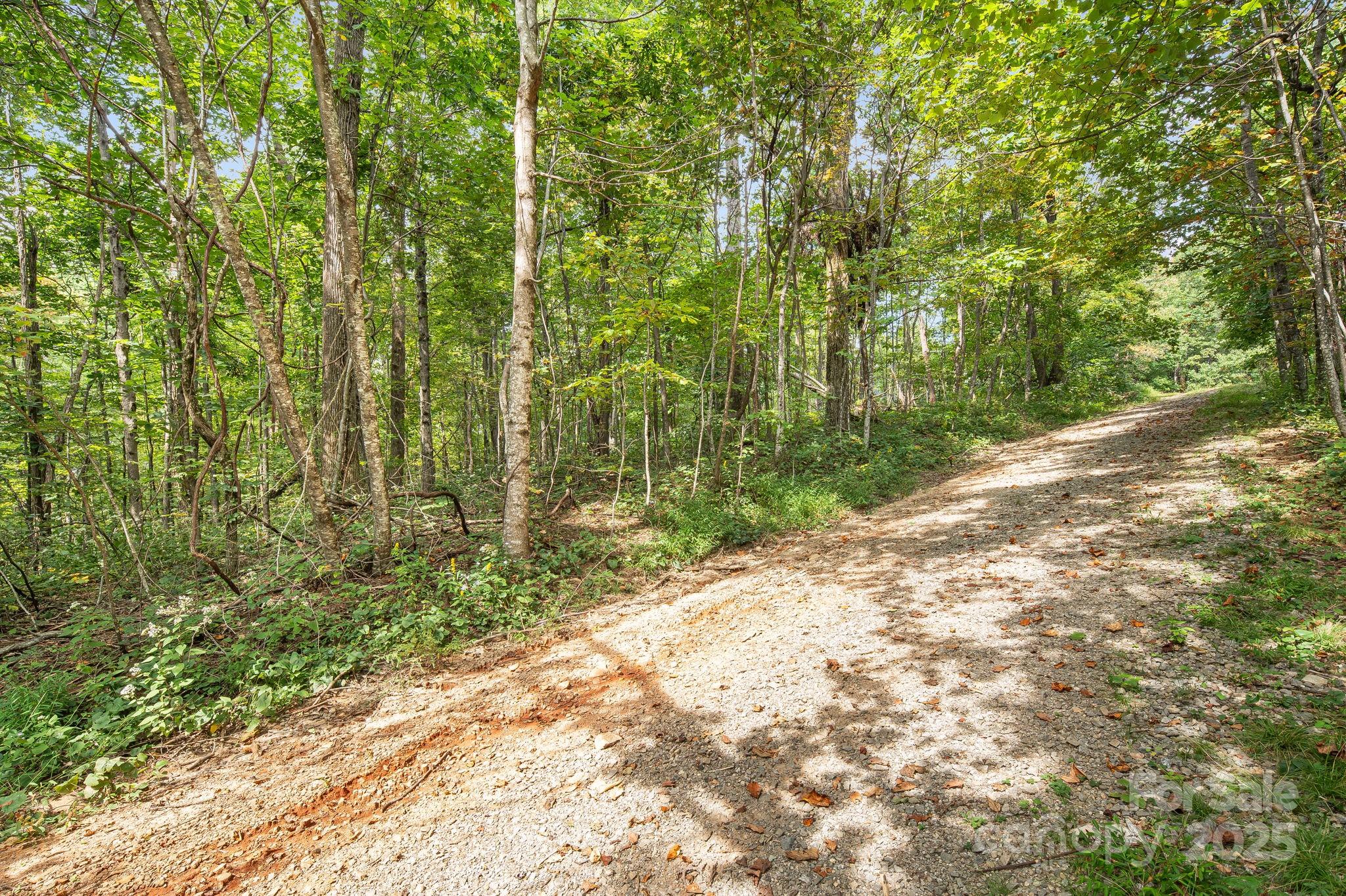 Deer Run Estates - Land