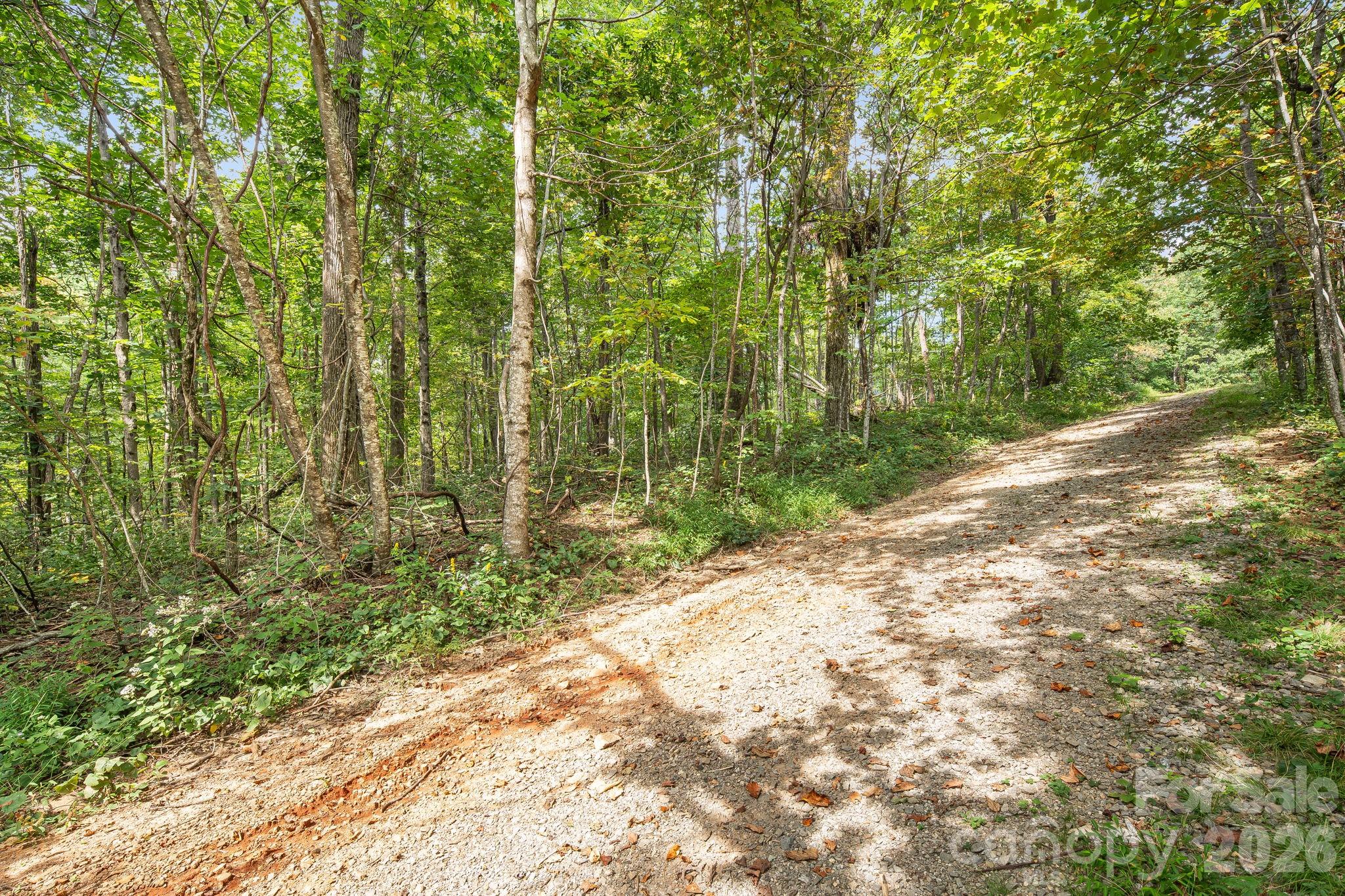 Deer Run Estates - Land