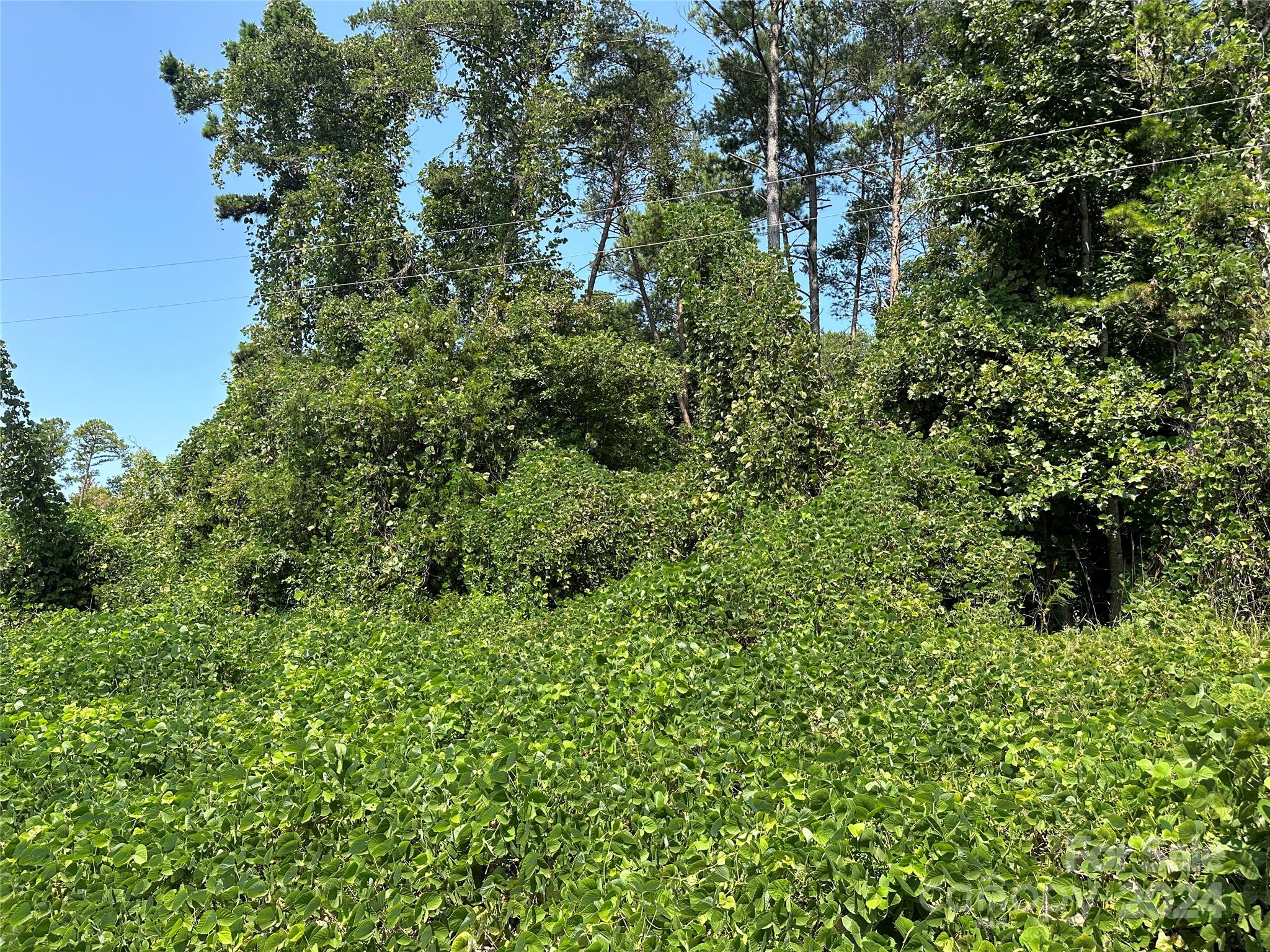 Clear Creek Estates - Land