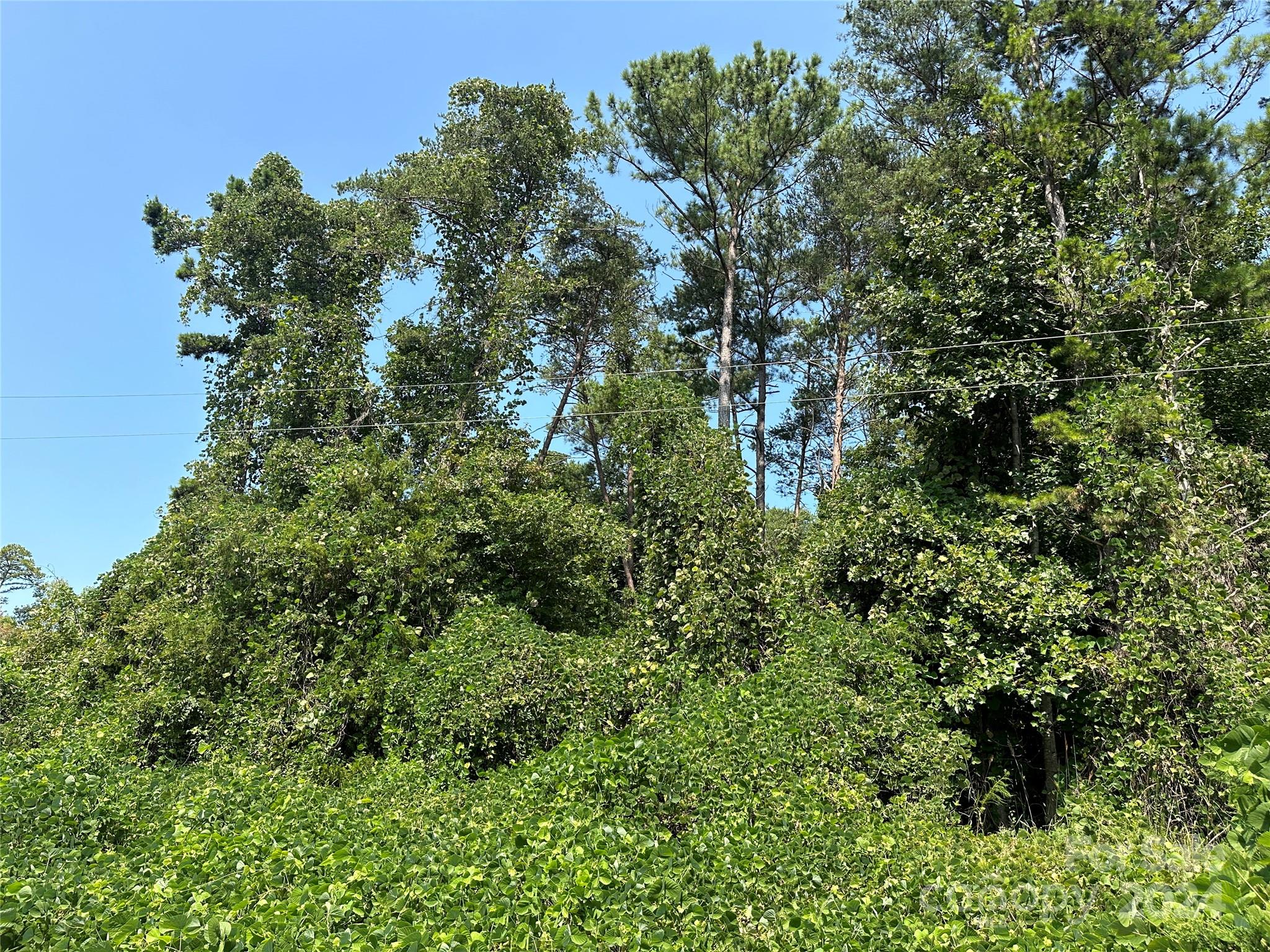 Clear Creek Estates - Land