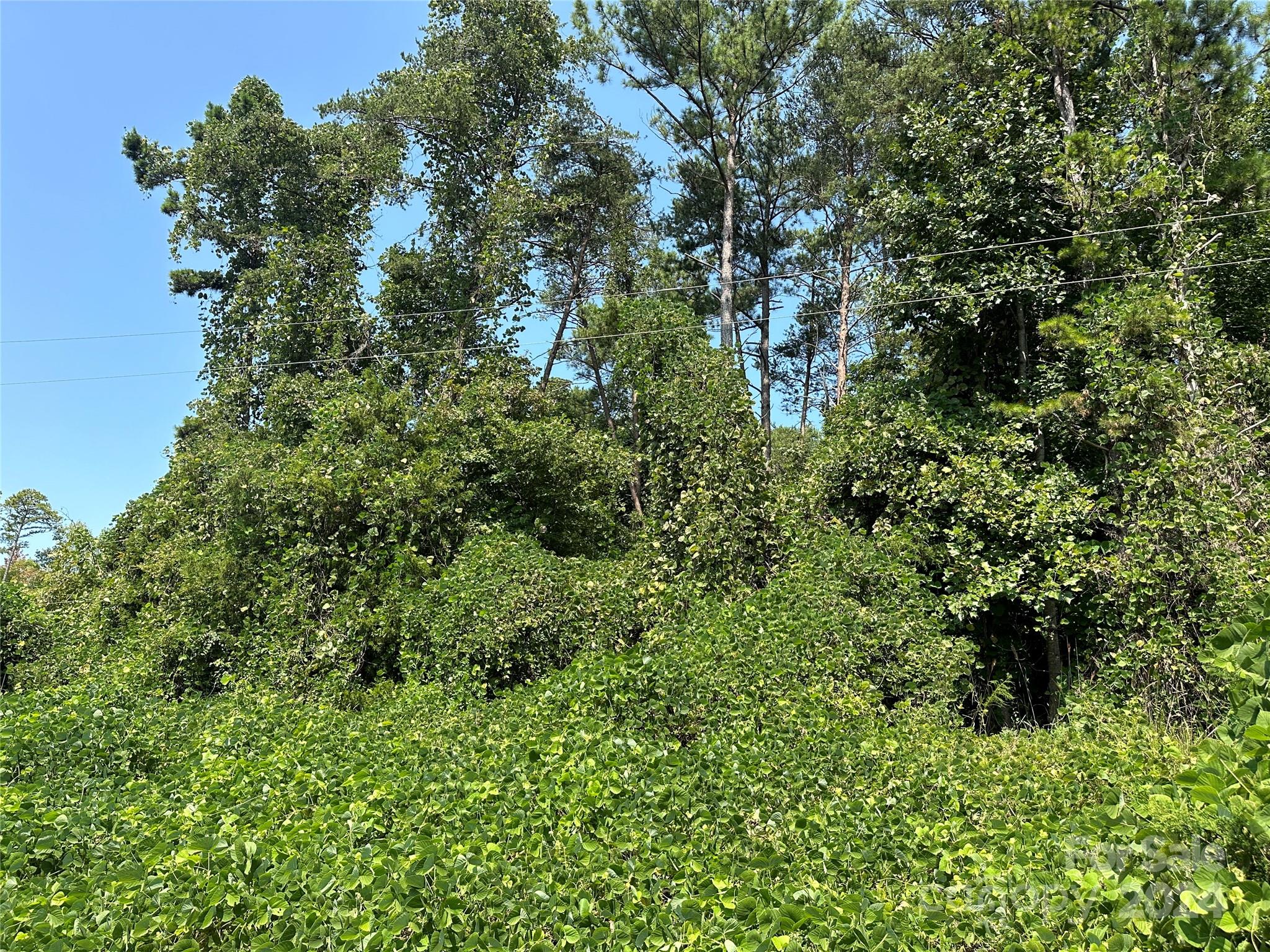 Clear Creek Estates - Land