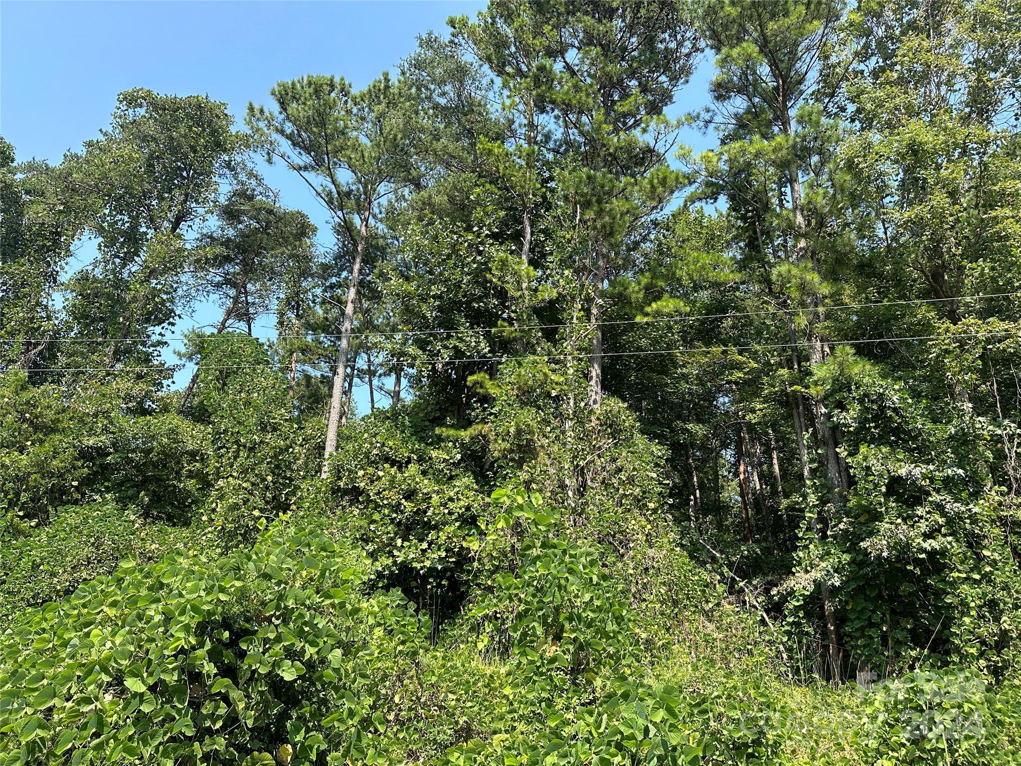 Clear Creek Estates - Land