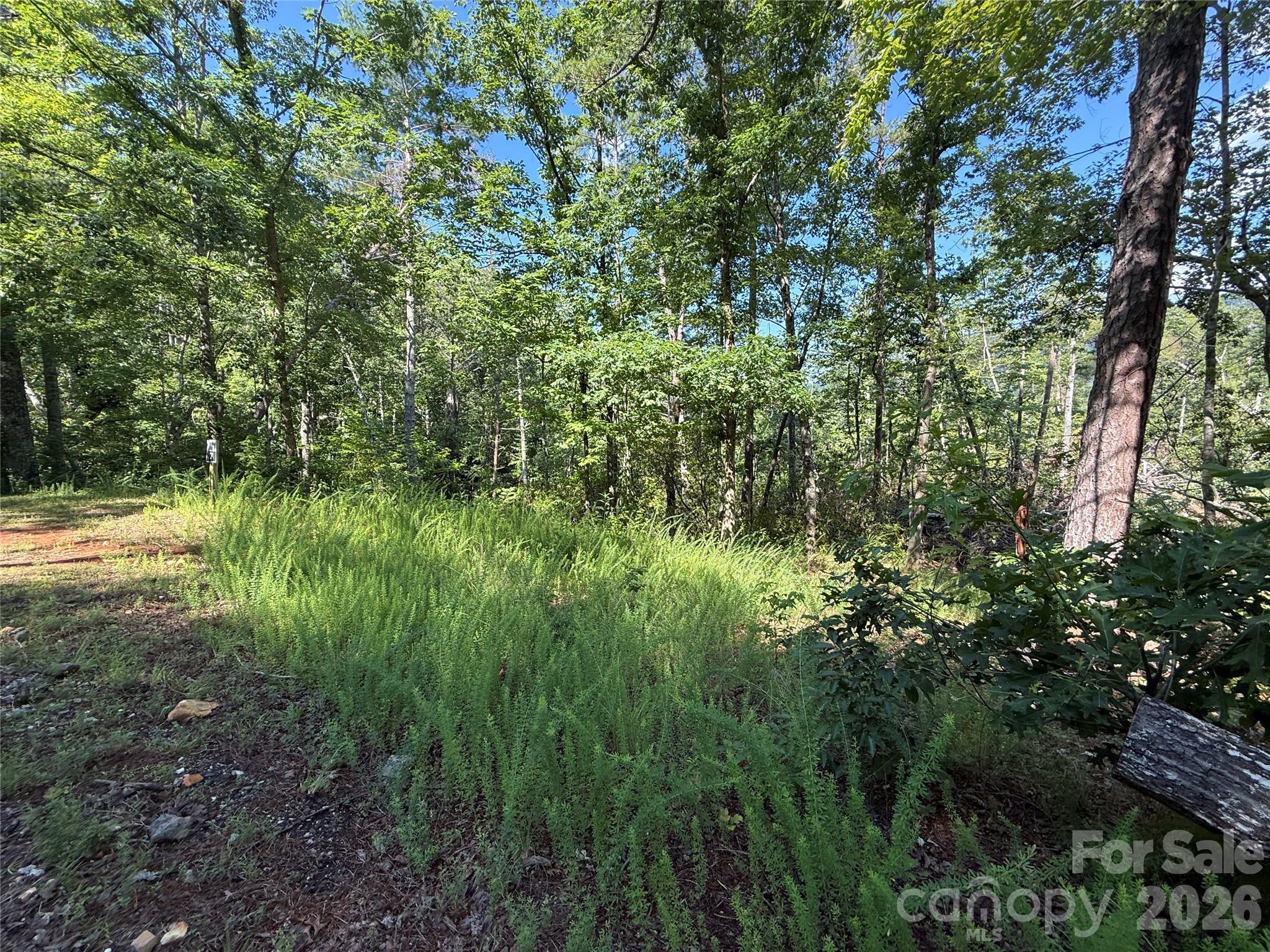 999 Fox Ridge Trail 7