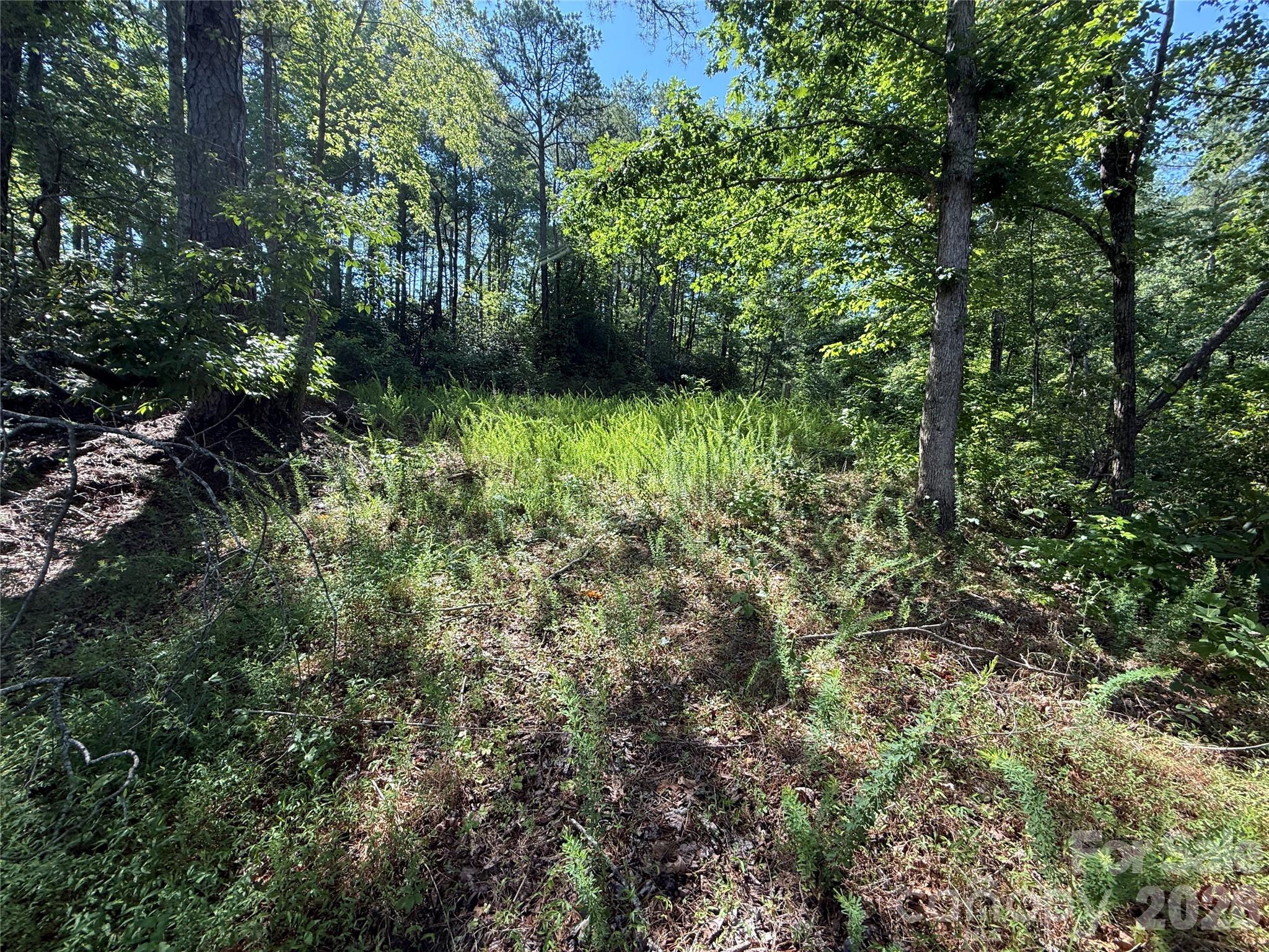 999 Fox Ridge Trail 7