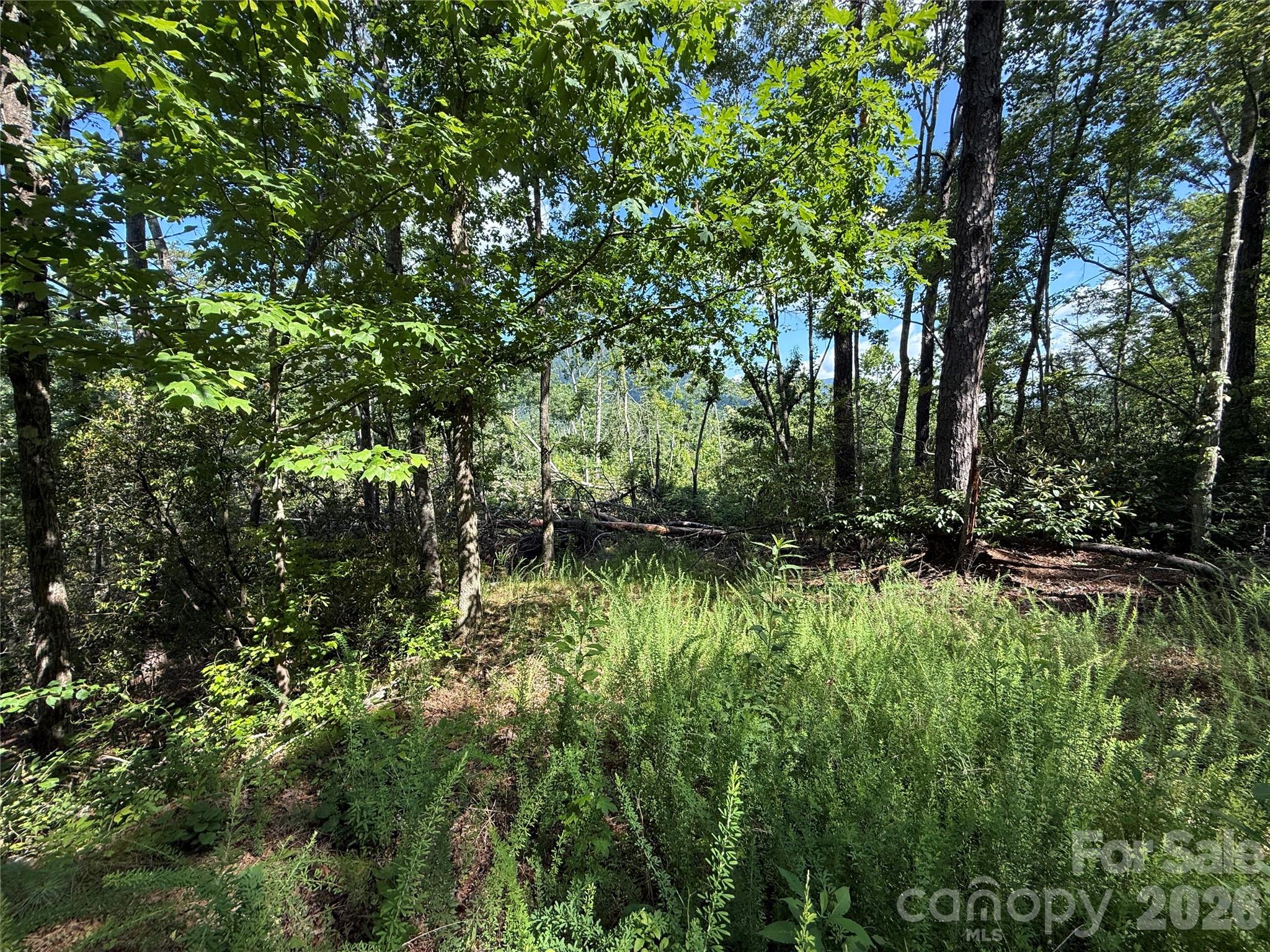 999 Fox Ridge Trail 7