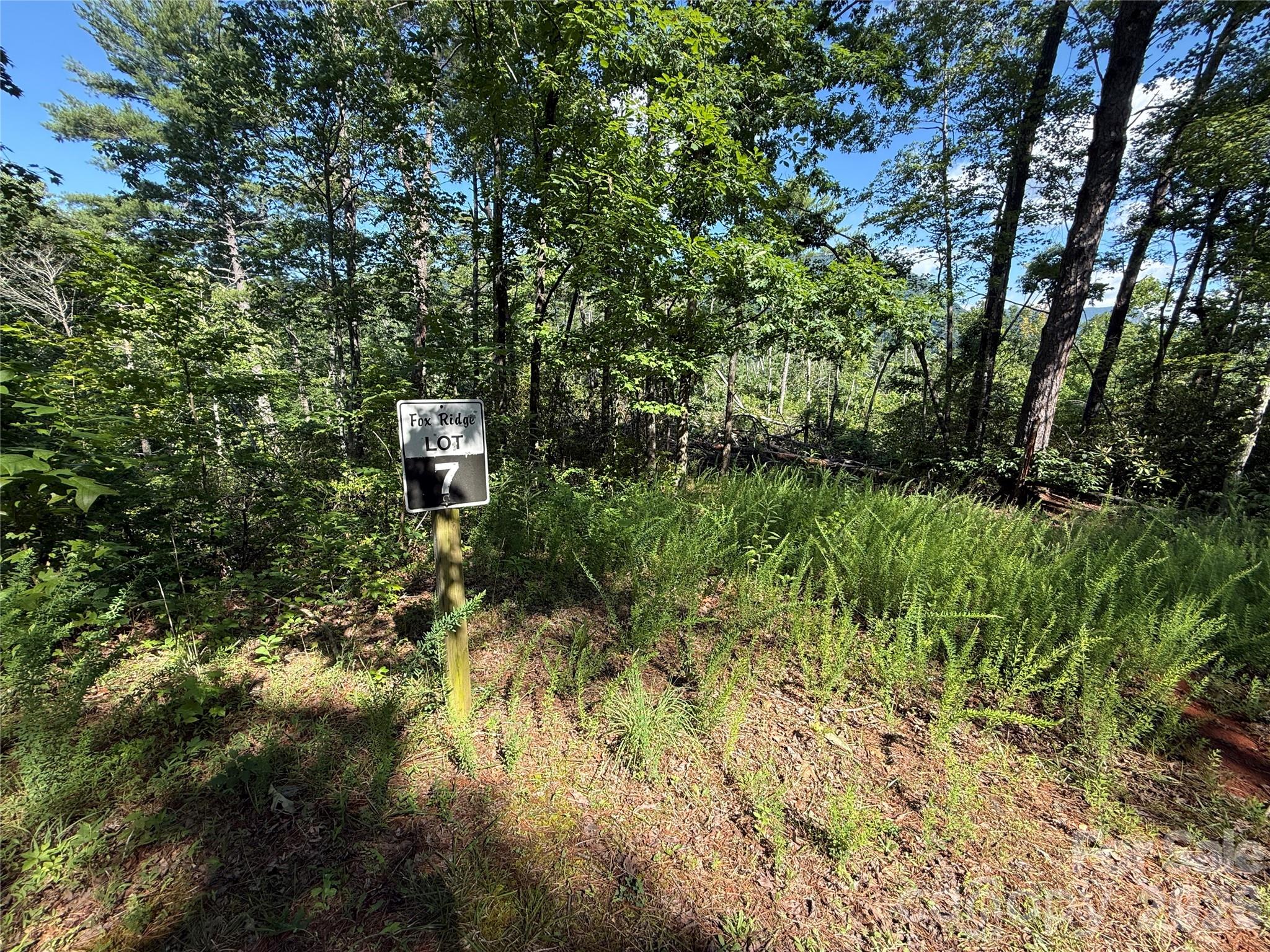 999 Fox Ridge Trail 7