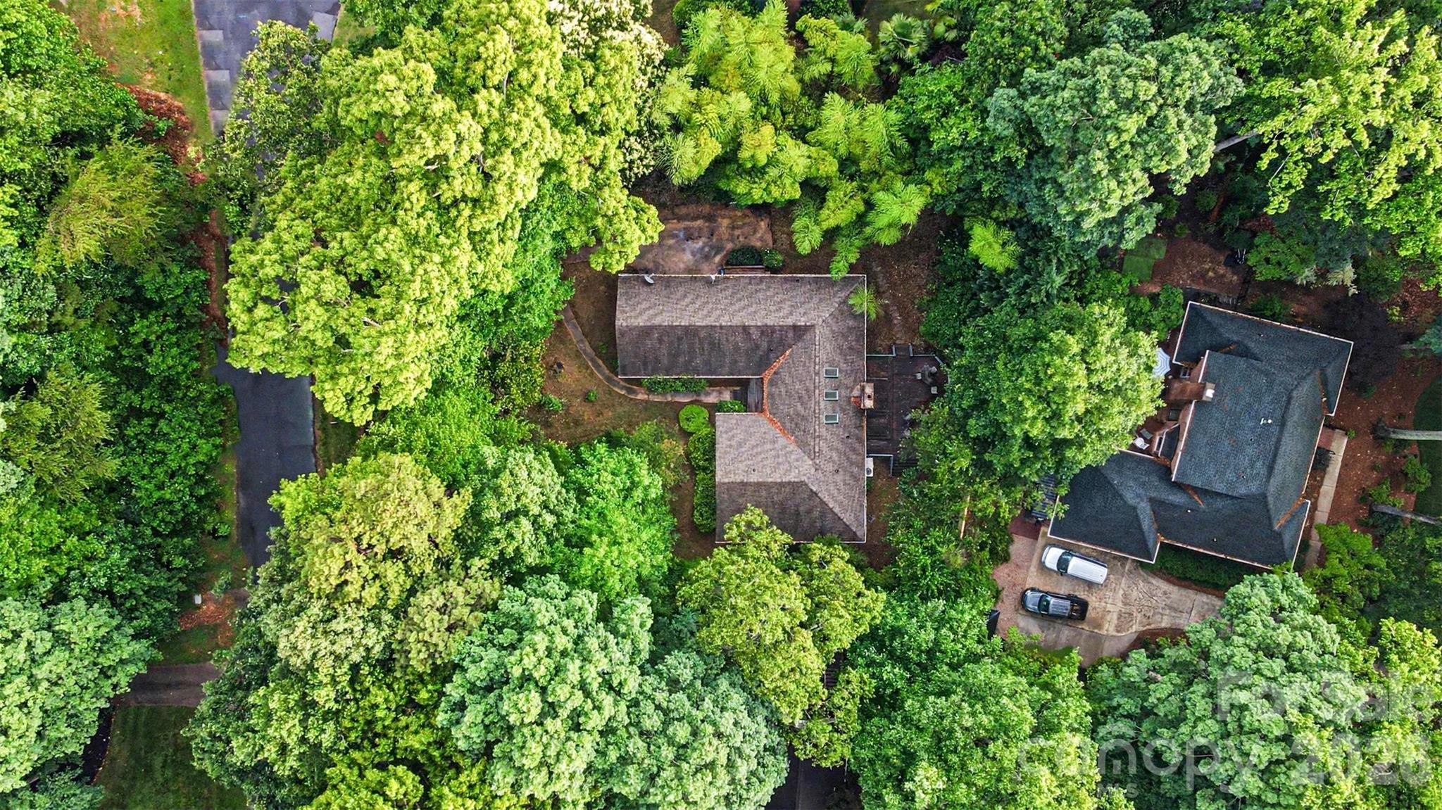 Wood Forest - Residential