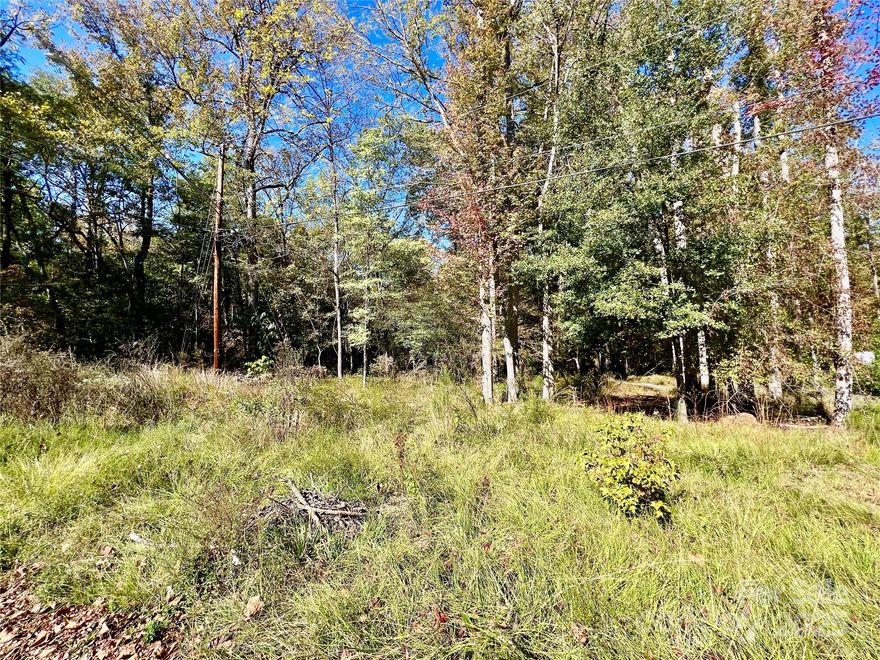 Looking for the perfect spot to build your new home? This 0.89-acre lot offers just the right mix of peace, space, and convenience. You’ll enjoy the quiet charm of country living while being only minutes from USCL, downtown Lancaster, local restaurants, shopping, and medical care. The property offers plenty of room for outdoor fun—whether it’s a big backyard, a garden, or a play area. Shady Lane Park sits just in front of the lot, and Camp Creek flows gently along the side, adding to the natural beauty and peaceful setting. It’s the kind of place where you can slow down, watch the deer wander by, and truly feel at home. Bring your home plans, your builder, and your dreams, and make this lovely piece of land your own! Call me or your favorite Realtor today to schedule a visit and see all the possibilities waiting for you. Due to Camp Creek along the side this property is part of a 100-year flood plain and an elevation certification may be required.