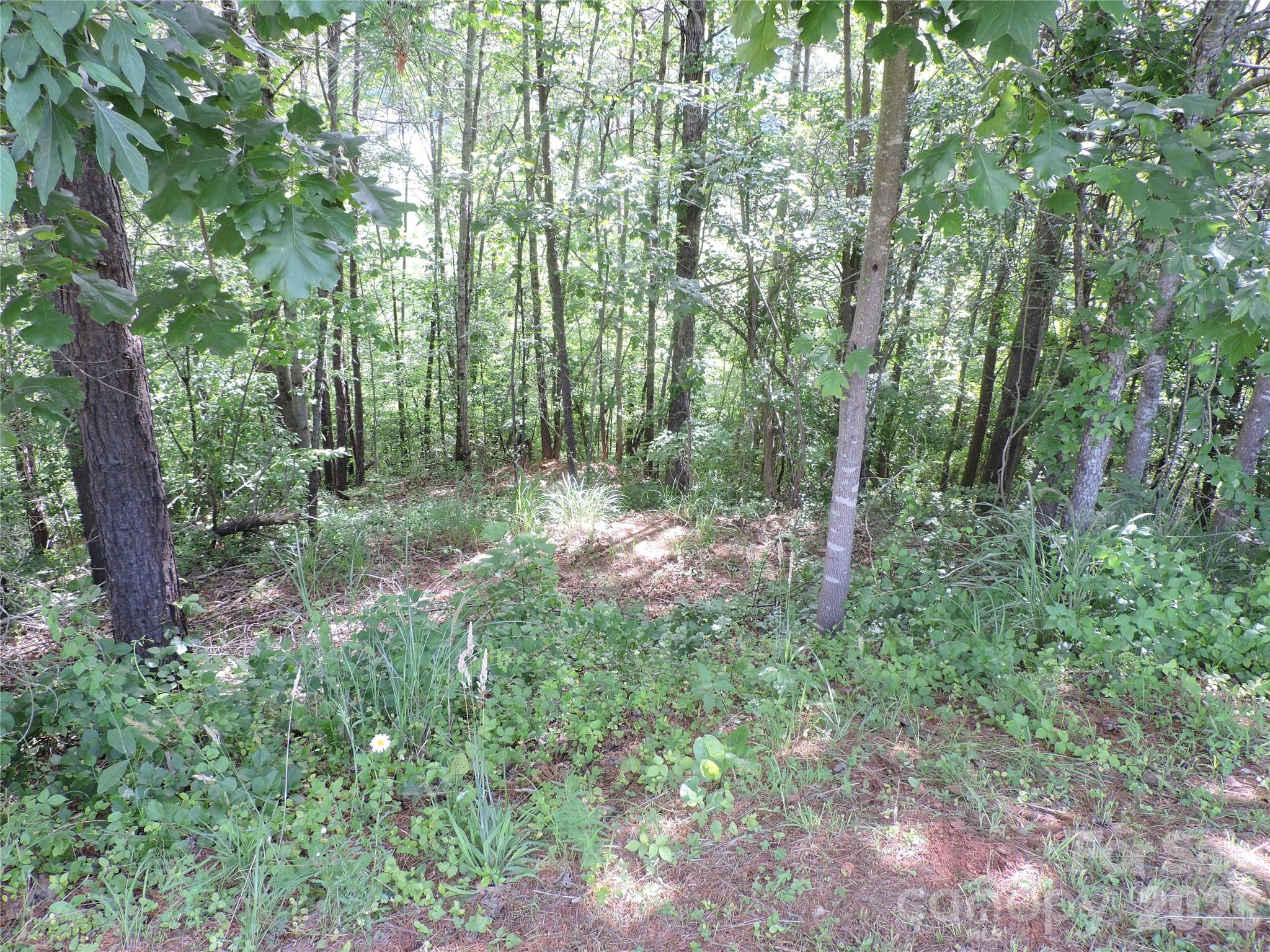 Bailey View - Land