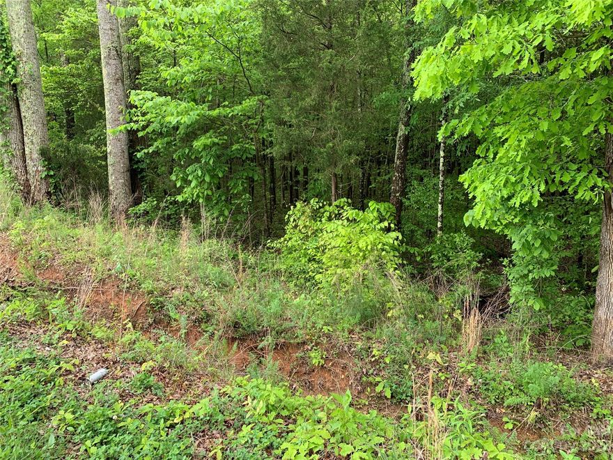 5.4 acre wooded tract that includes two parcels(064-00-00-008 and 030-01-01-020) located on Legion Road, appraisal on file. 030-01-01-020 is 2.4 acres and 064-00-00-008 is 3.0 acres