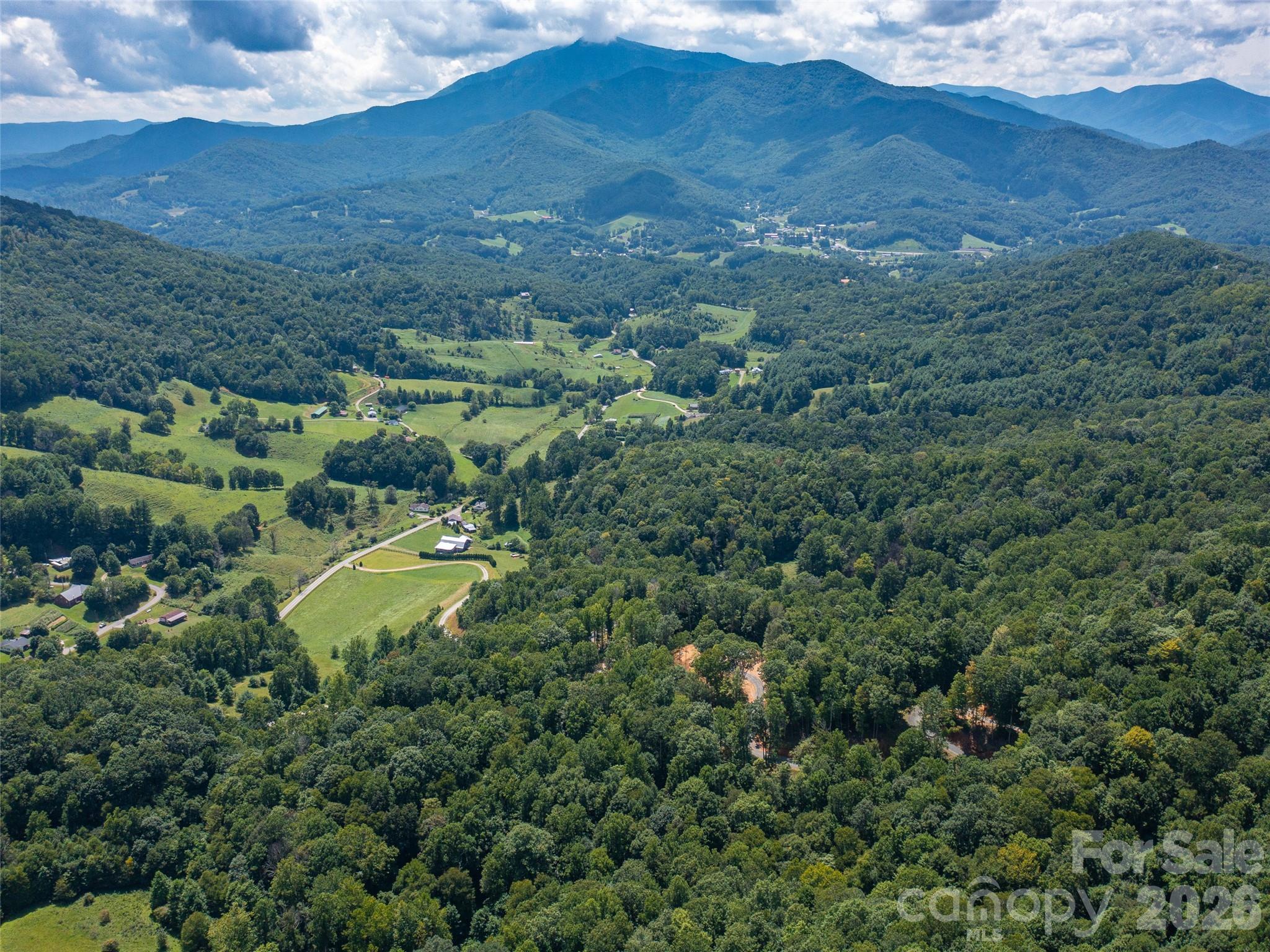 Locust Rough Mountain - Land